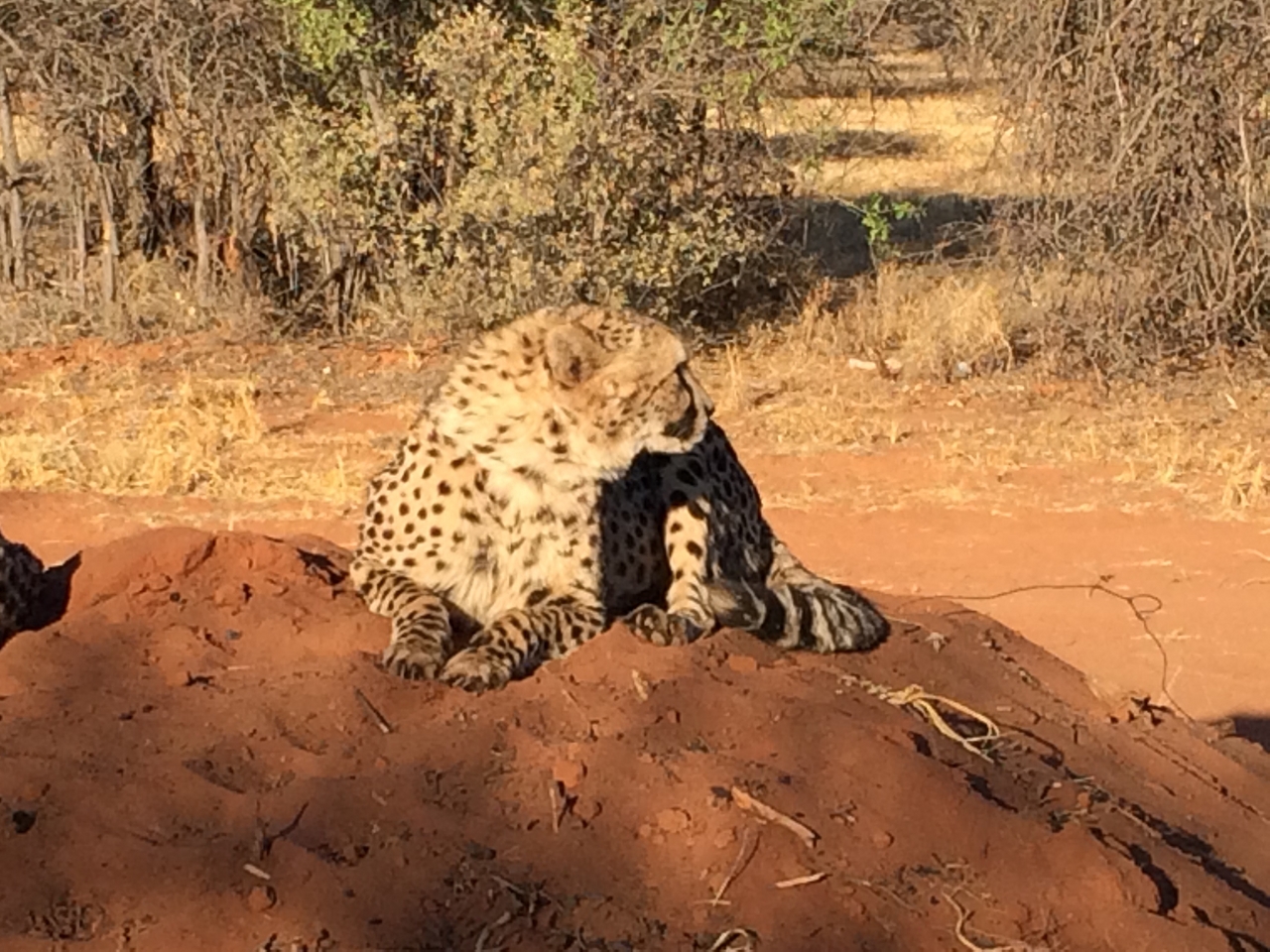 [7085] 2016_06_23_11_13_42_Africa_iPhone_5s_IMG__00363.jpg