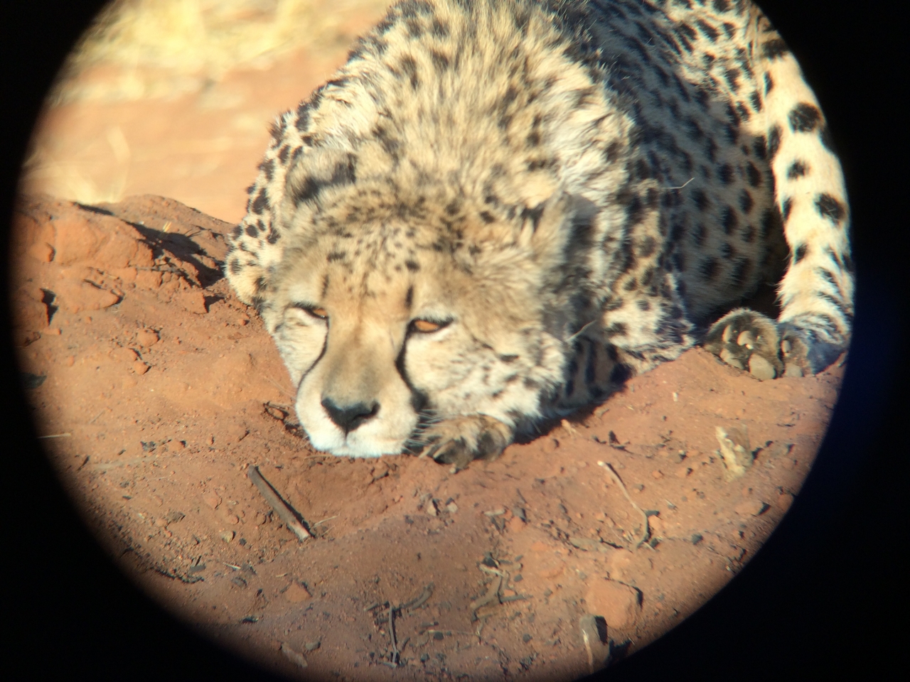 [7110] 2016_06_23_11_14_17_Africa_iPhone_5s_IMG__05983.jpg