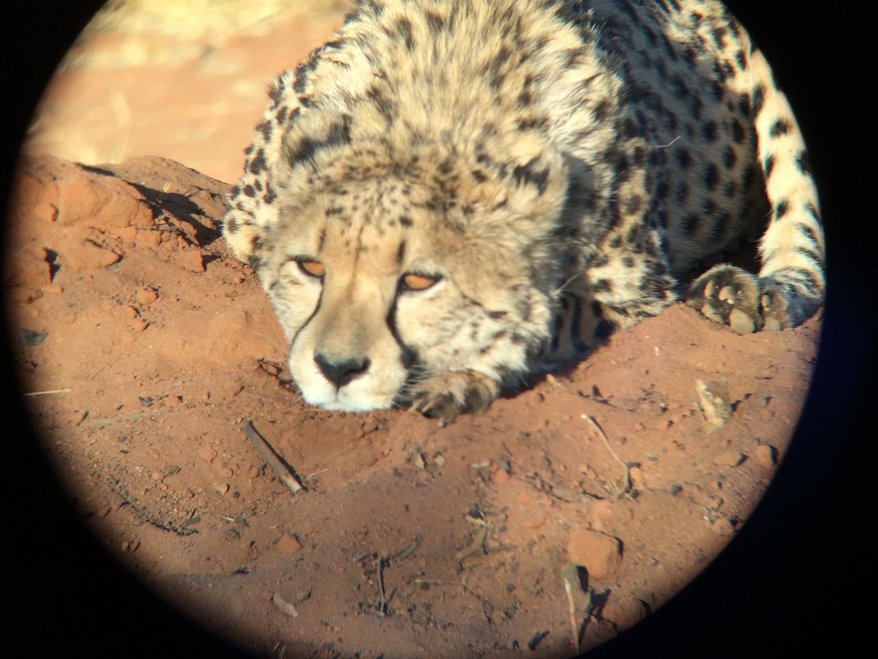 [7111] 2016_06_23_11_14_25_Africa_iPhone_5s_IMG_8217_00370.jpg