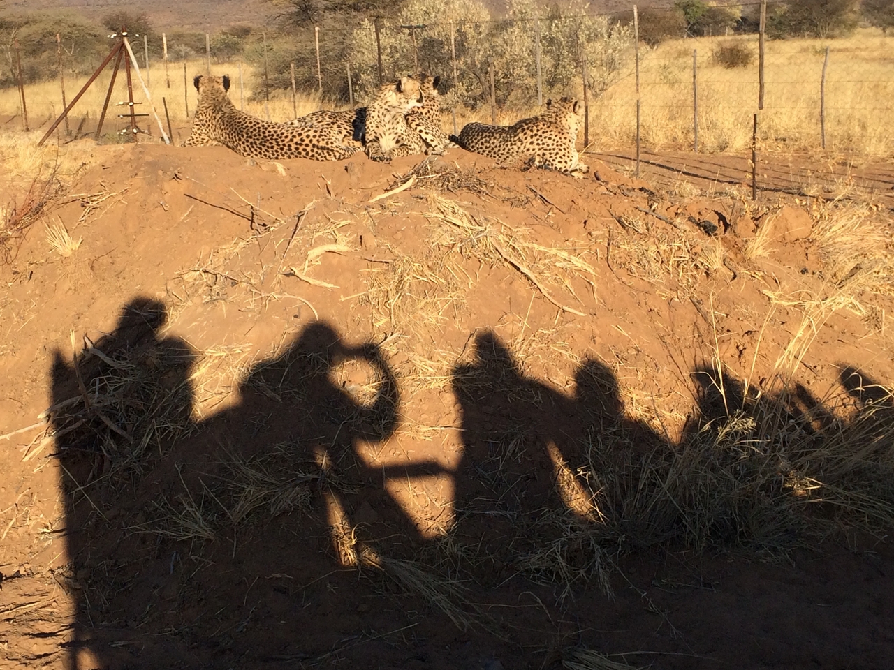 [7163] 2016_06_23_11_20_39_Africa_iPhone_5s_IMG_8223_05996.jpg
