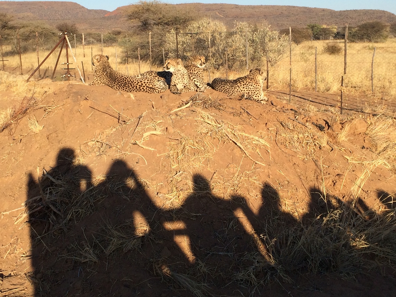 [7211] 2016_06_23_11_21_22_Africa_iPhone_5s_IMG_8224_00384.jpg