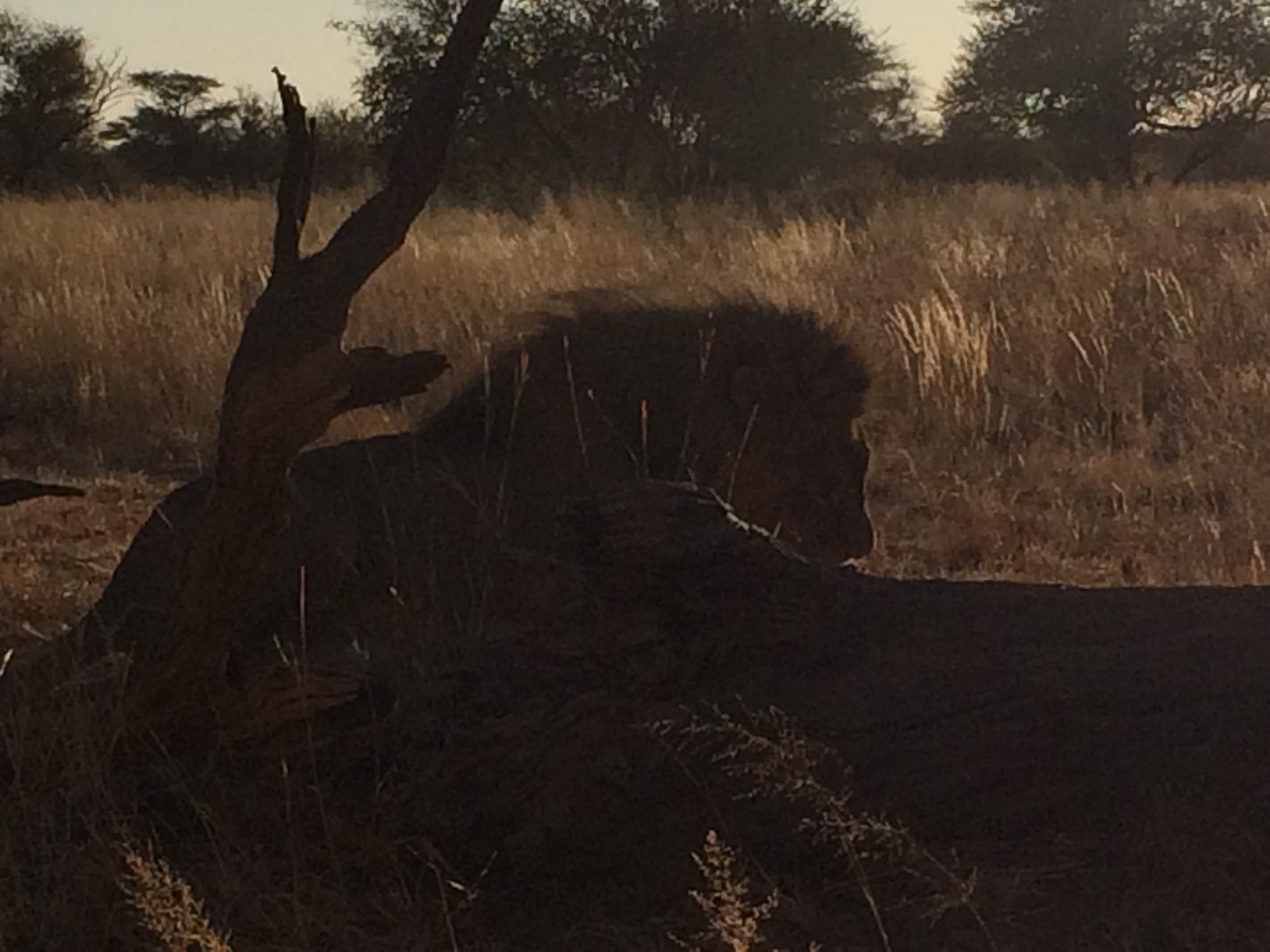 [7407] 2016_06_23_11_40_19_Africa_iPhone_5s_IMG__06001.jpg