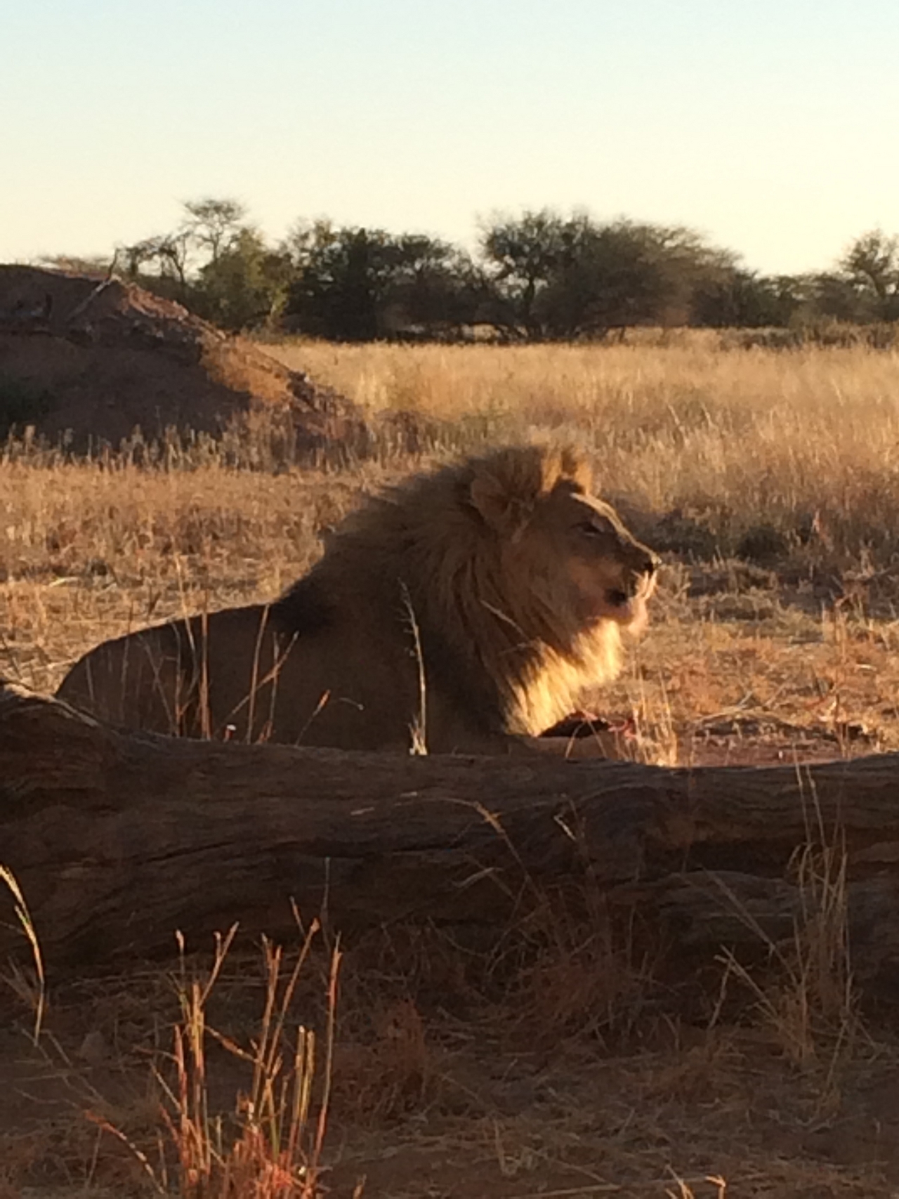 [7507] 2016_06_23_11_41_08_Africa_iPhone_5s_IMG__00391.jpg