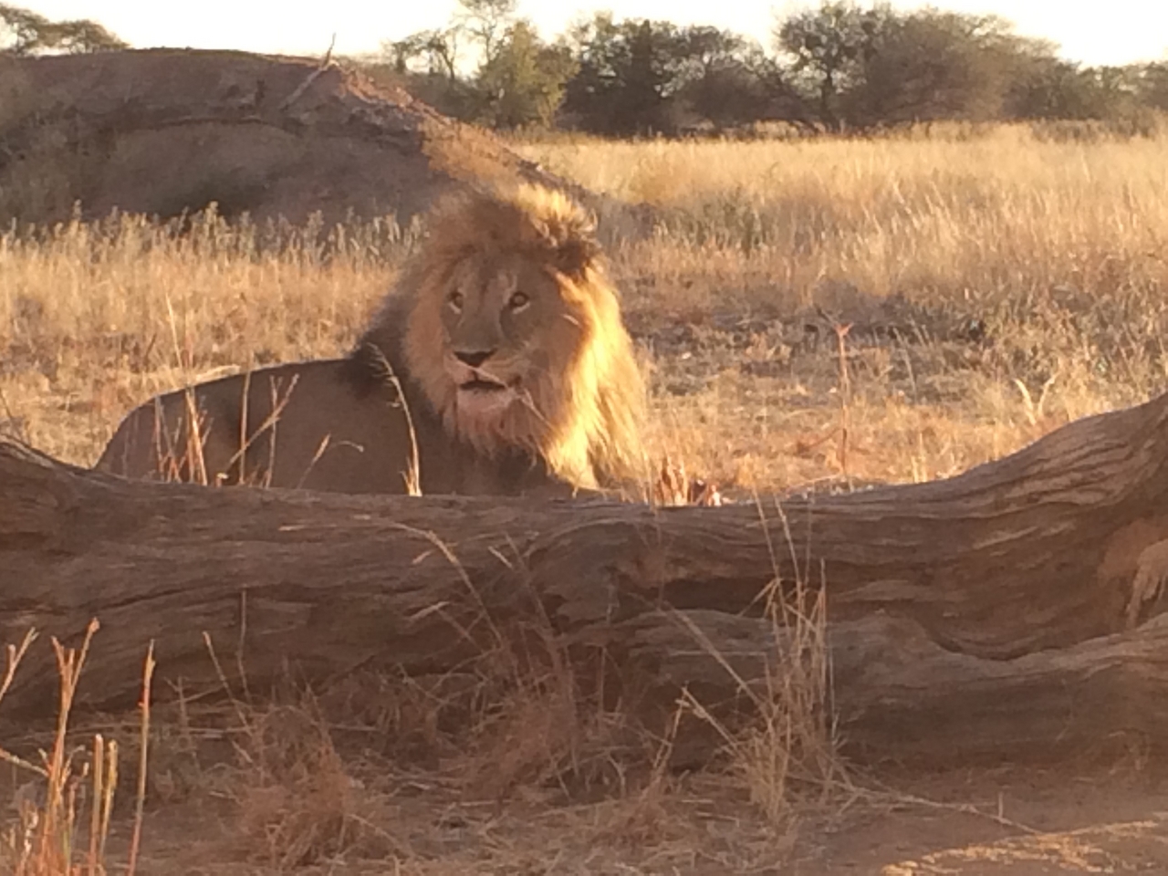 [7824] 2016_06_23_11_46_20_Africa_iPhone_5s_IMG__00393.jpg