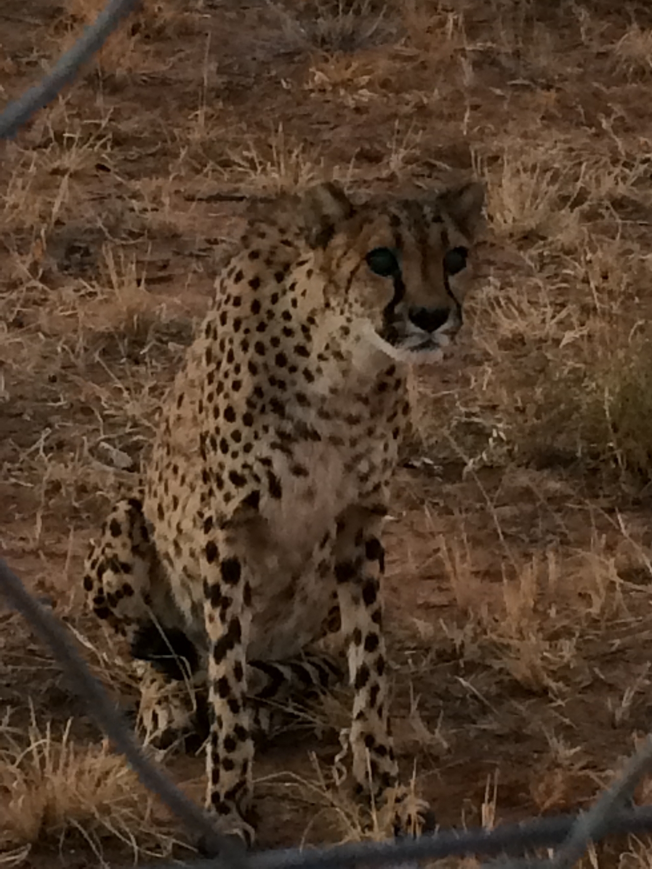 [8947] 2016_06_23_12_28_30_Africa_iPhone_5s_IMG__06043.jpg