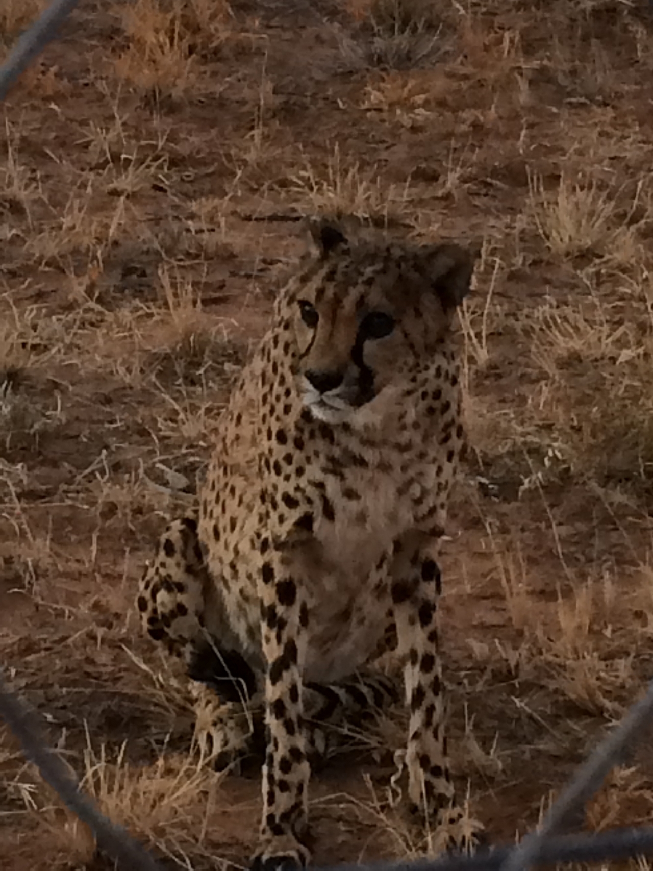 [8954] 2016_06_23_12_28_32_Africa_iPhone_5s_IMG__00433.jpg