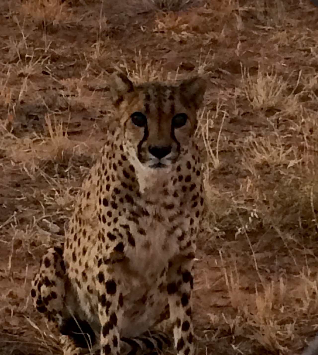 [8959] 2016_06_23_12_28_39_Africa_iPhone_5s_IMG__06049.jpg