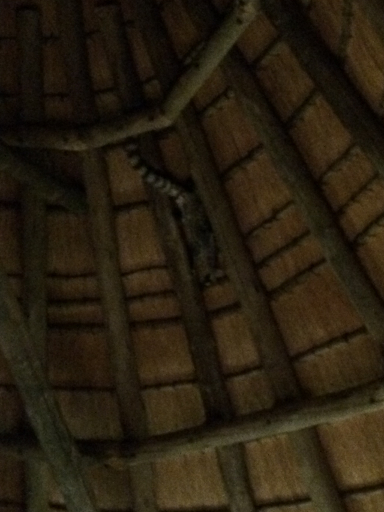 [9604] 2016_06_23_17_53_55_Africa_iPhone_5s_IMG__00463.jpg