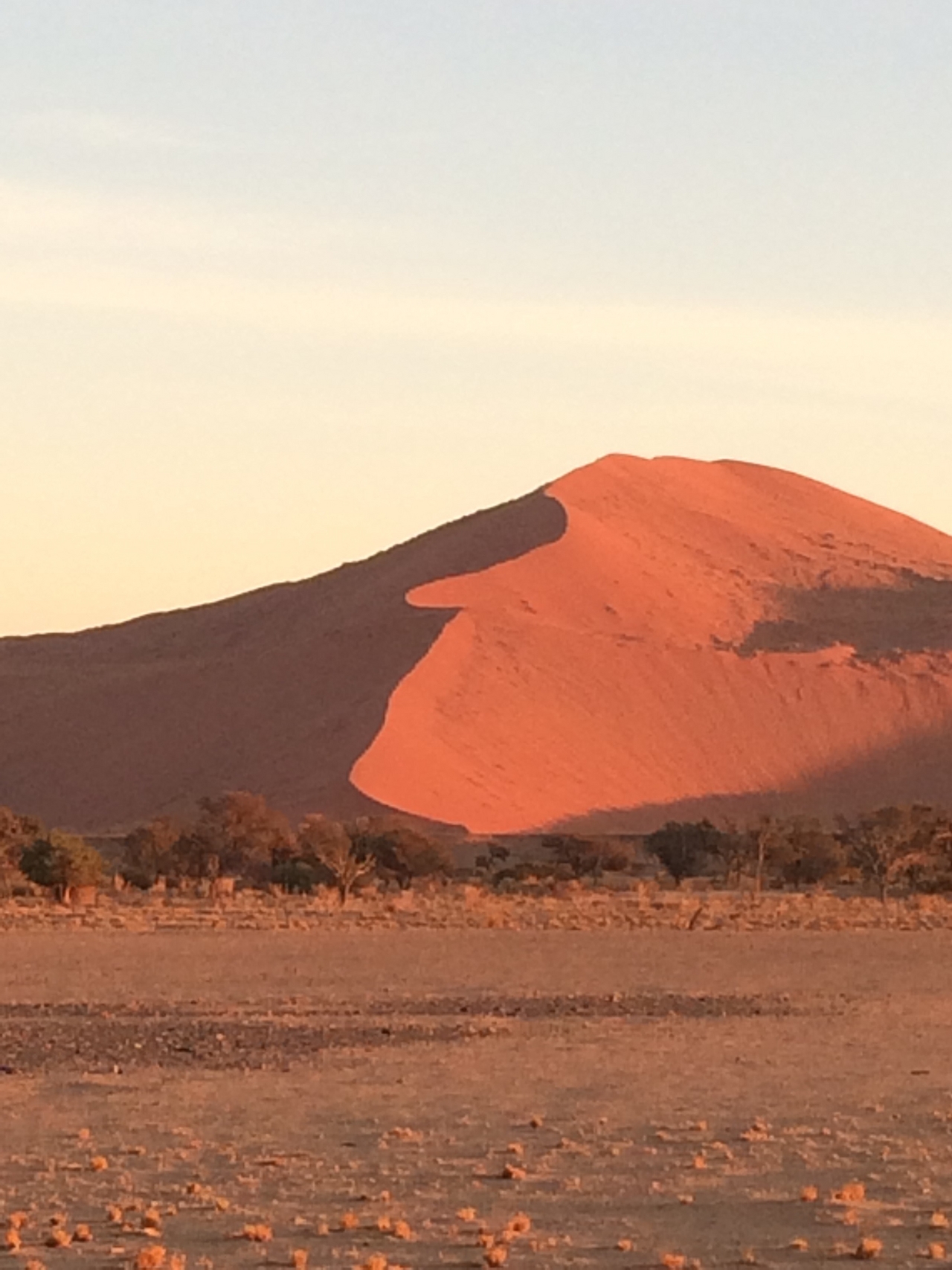 [14624] 2016_06_25_01_51_14_Africa_iPhone_5s_IMG__06121.jpg
