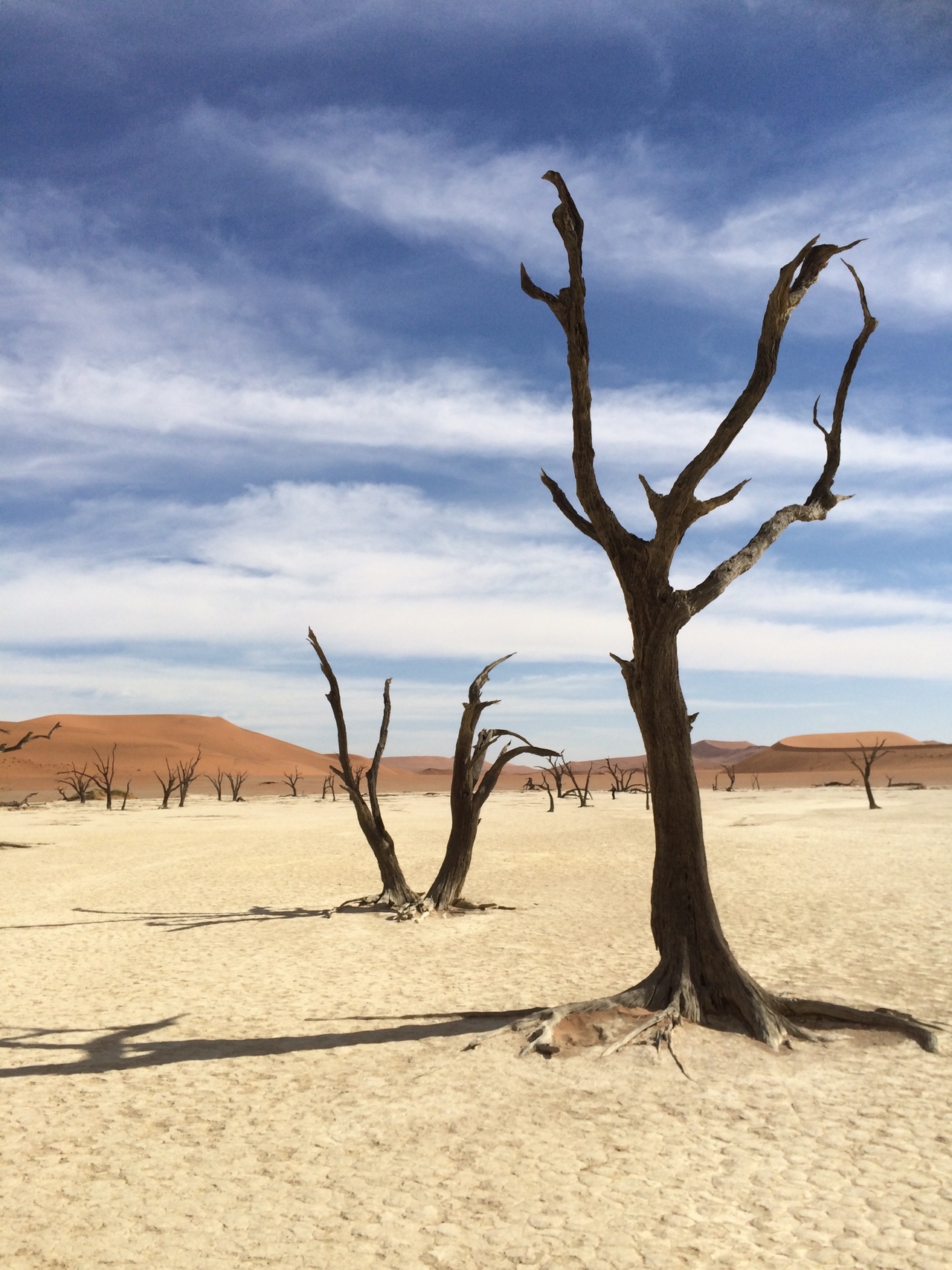 [15372] 2016_06_25_05_22_00_Africa_iPhone_5s_IMG__06175.jpg