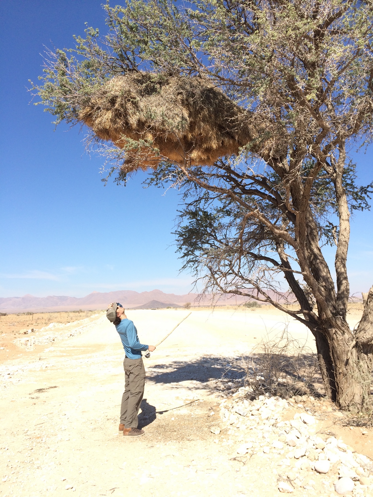 [16394] 2016_06_26_06_17_41_Africa_iPhone_5s_IMG__00613.jpg