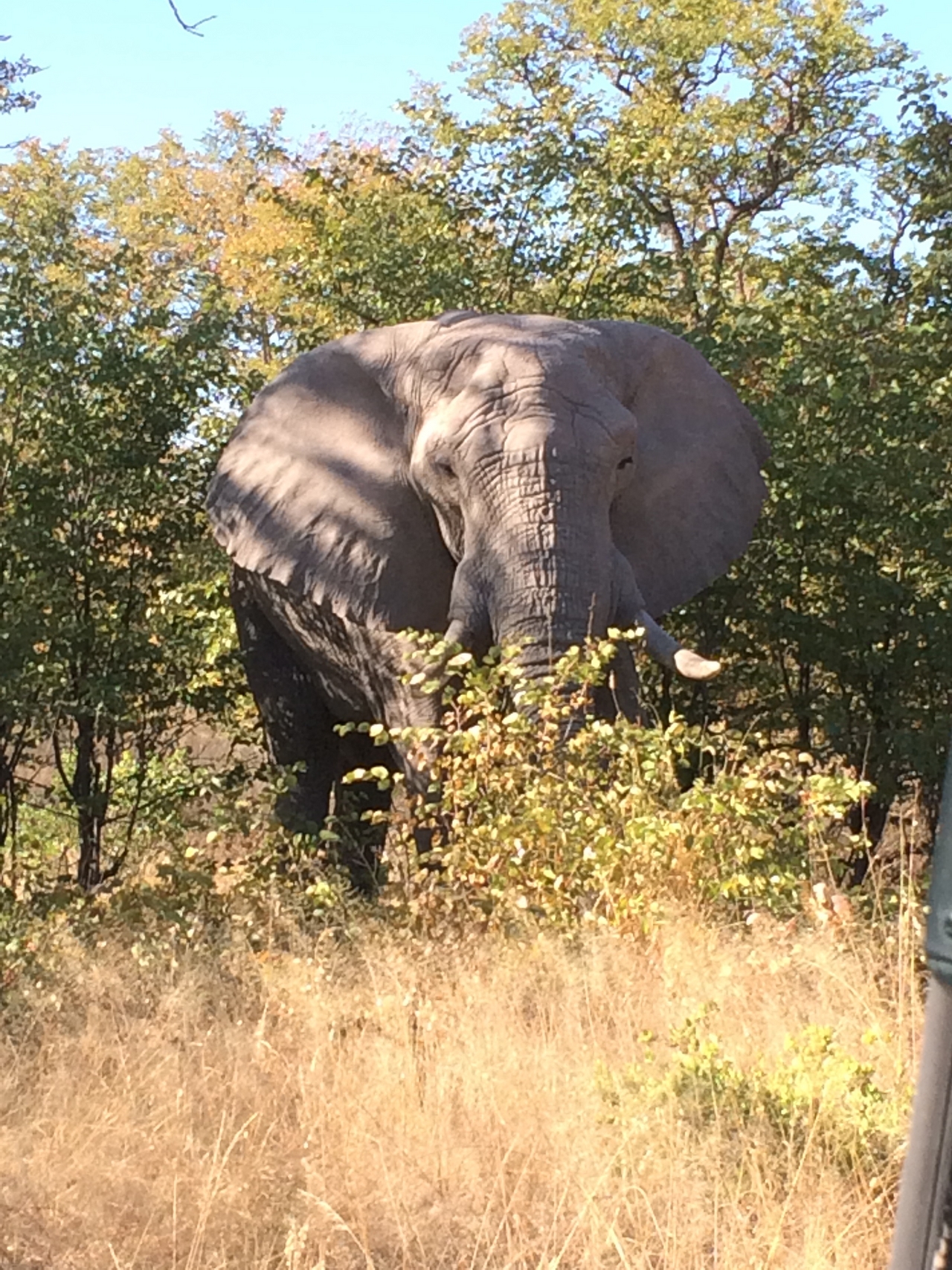 [17069] 2016_06_27_09_26_10_Africa_iPhone_5s_IMG__00720.jpg