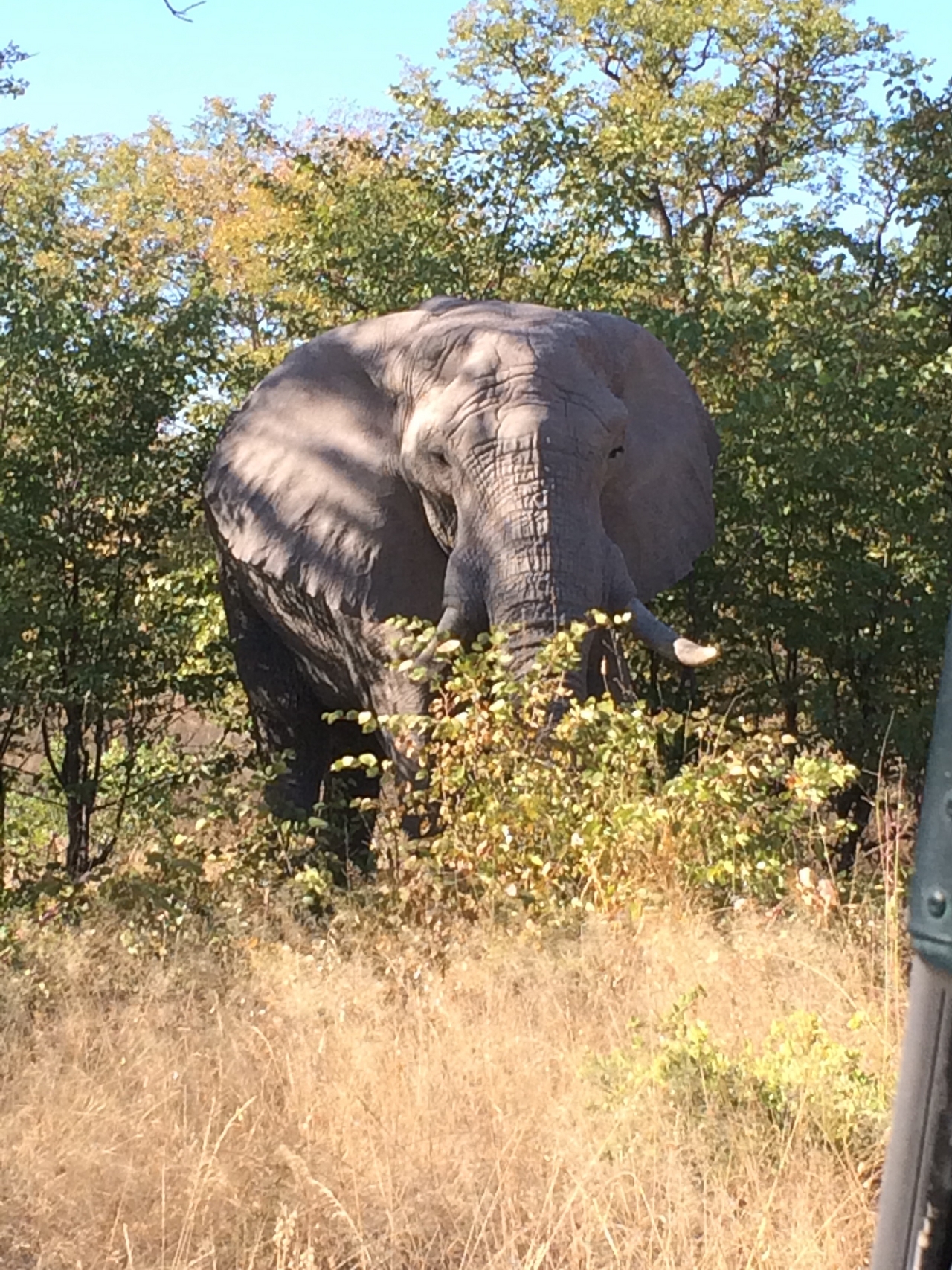 [17076] 2016_06_27_09_26_11_Africa_iPhone_5s_IMG__00724.jpg