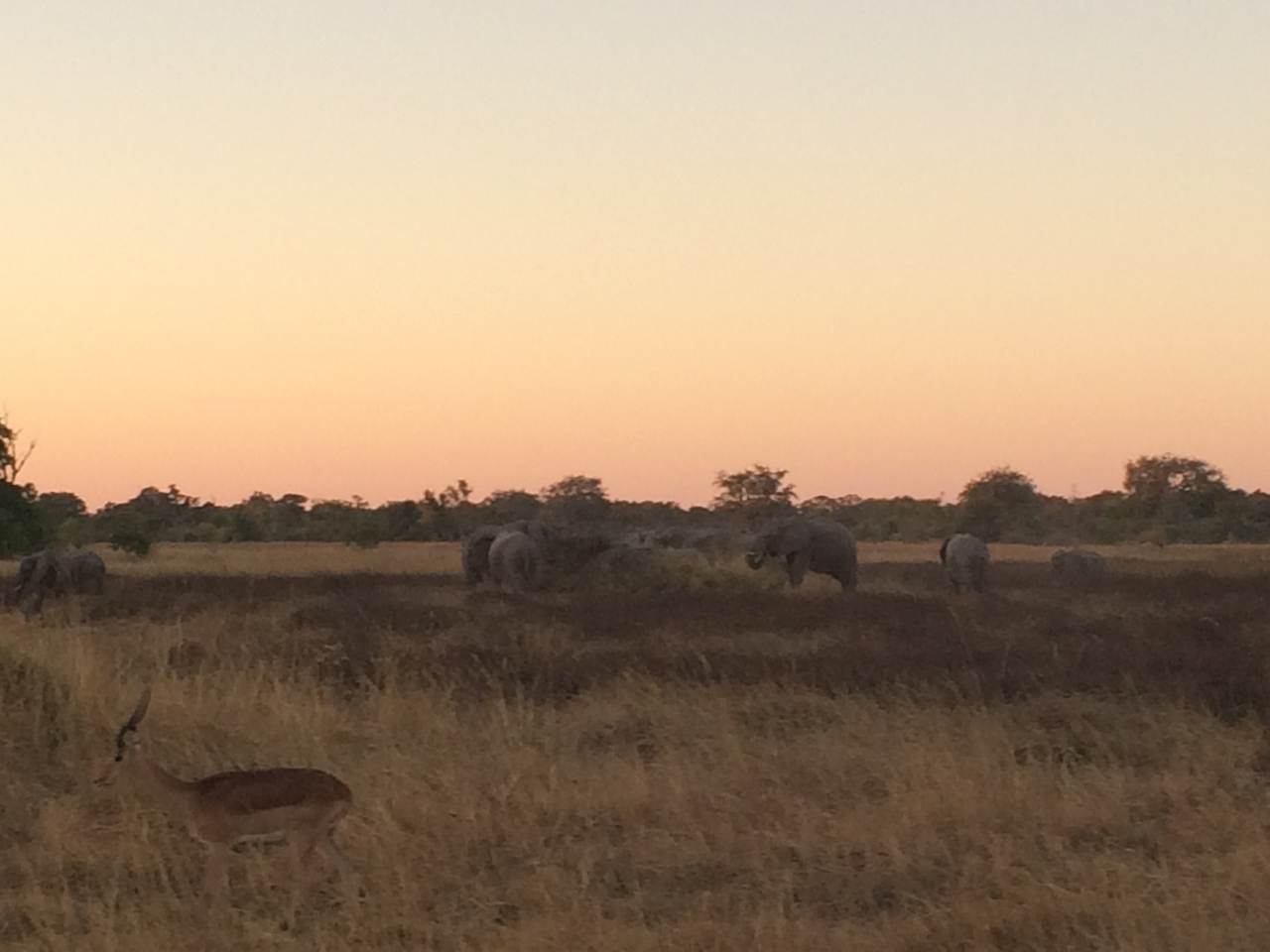 [20196] 2016_06_28_11_54_41_Africa_iPhone_5s_IMG_8499_00784.jpg