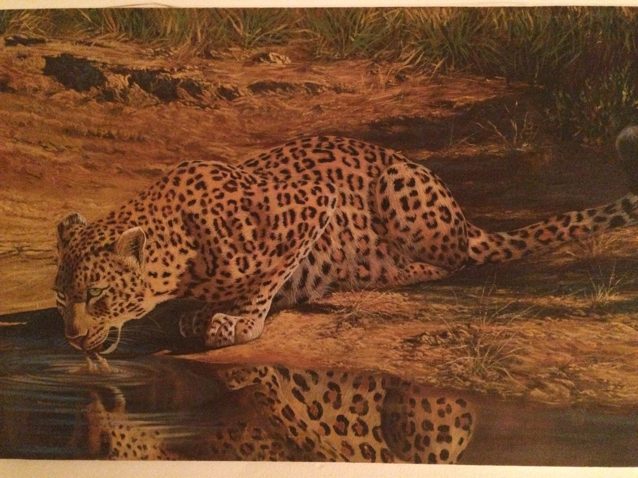 [32549] 2016_07_03_14_50_47_Africa_iPhone_5s_IMG__00882.jpg