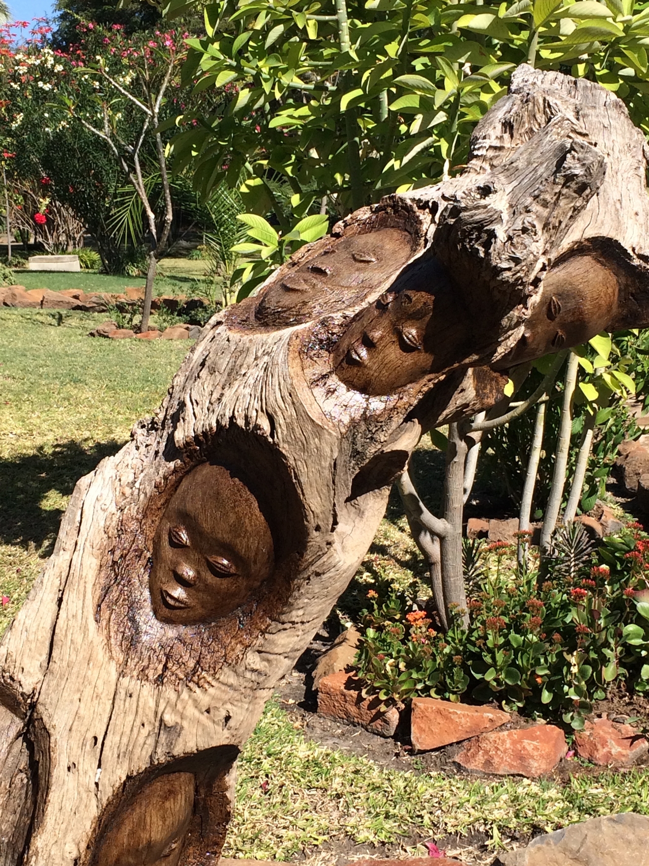 [34457] 2016_07_05_04_23_00_Africa_iPhone_5s_IMG__00948.jpg