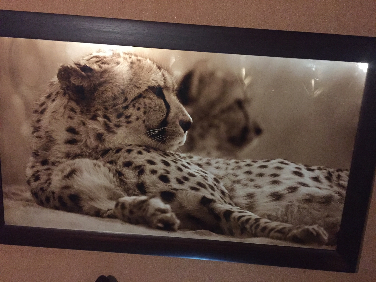 [413] 2016_06_21_21_07_03_Africa_iPhone_6_IMG_7560_00157.jpg