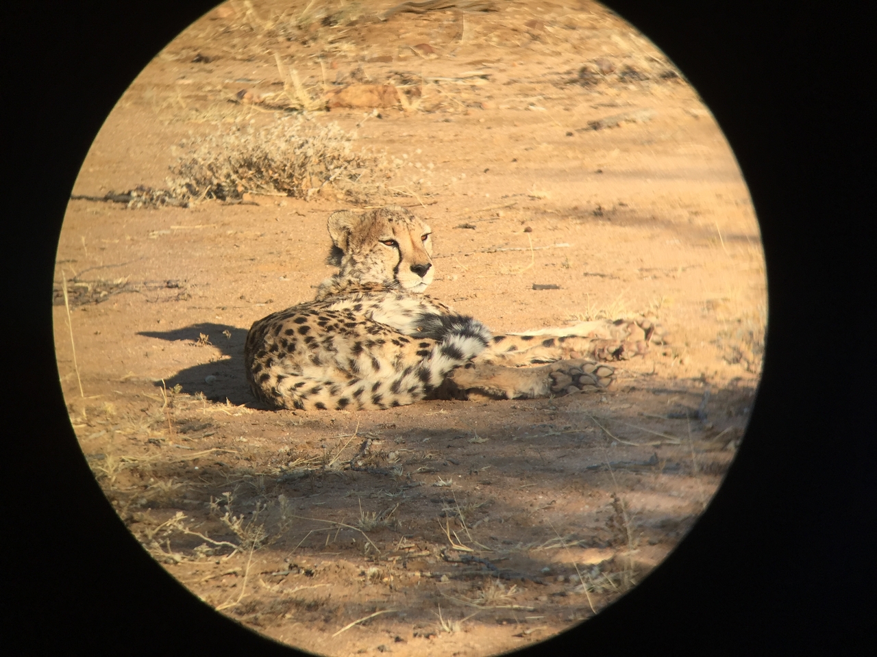 [2340] 2016_06_22_07_46_29_Africa_iPhone_6_IMG_7579_02517.jpg