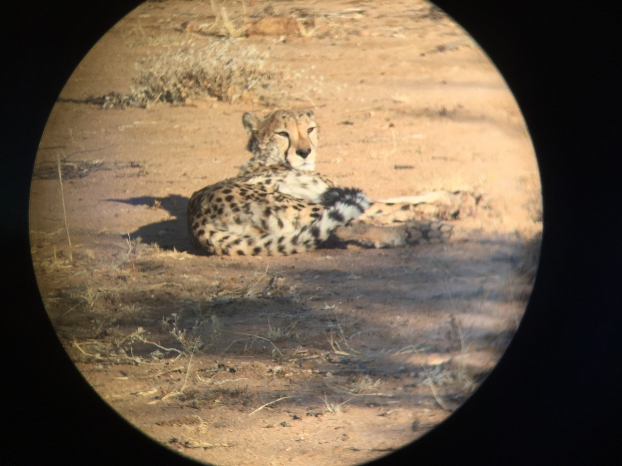 [2341] 2016_06_22_07_46_32_Africa_iPhone_6_IMG_7580_00177.jpg