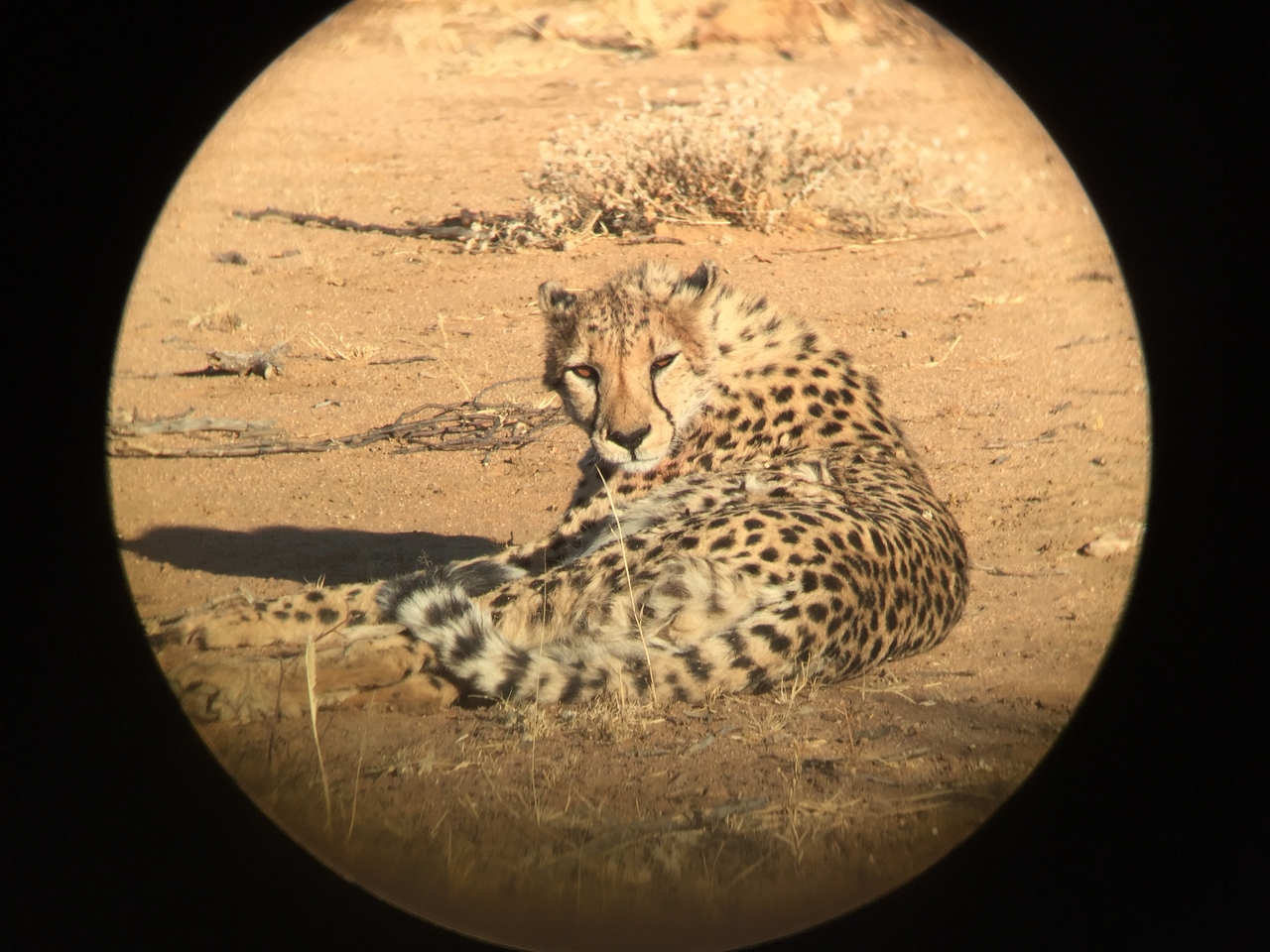 [2374] 2016_06_22_07_50_55_Africa_iPhone_6_IMG_7596_02534.jpg