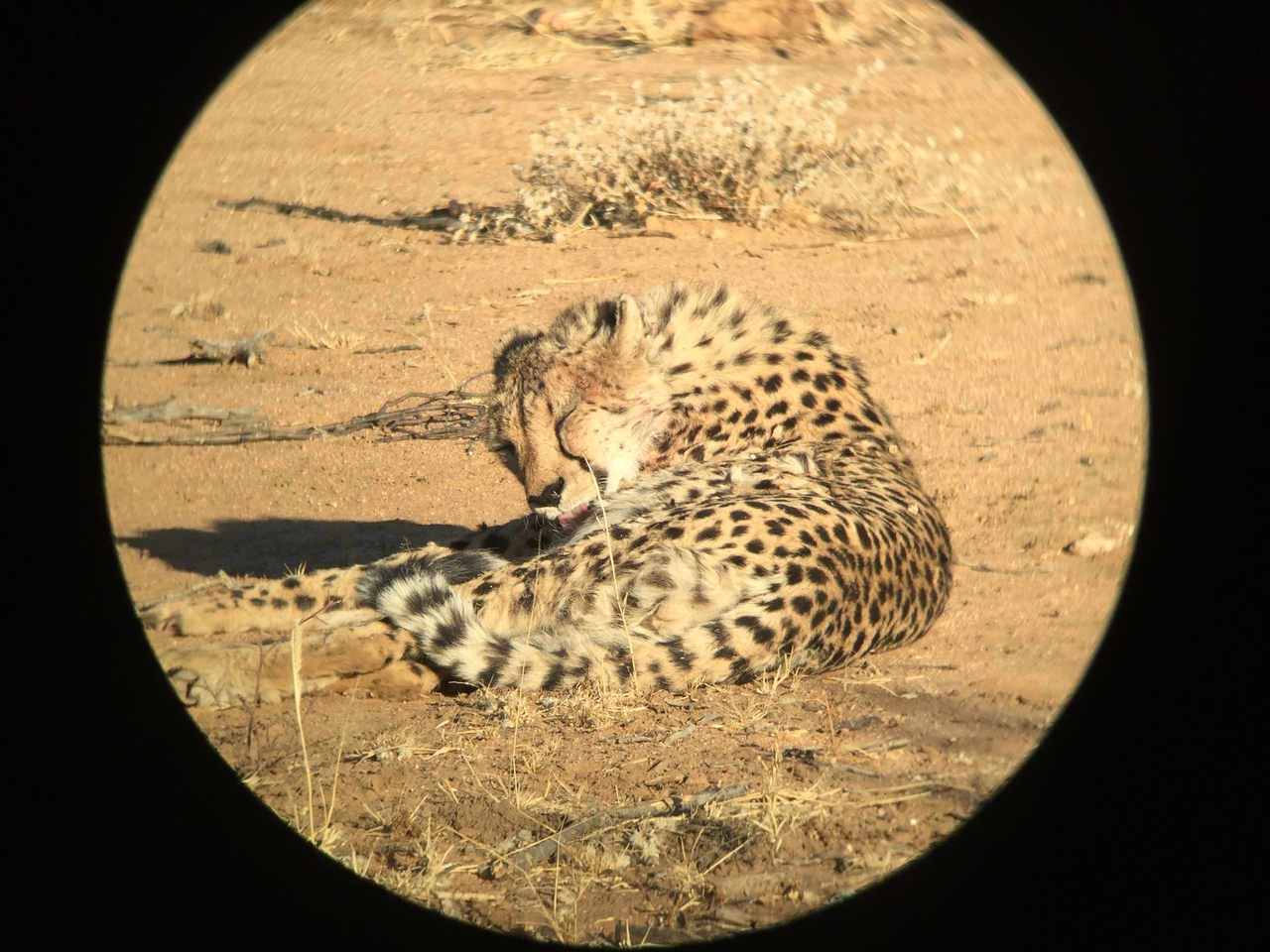 [2378] 2016_06_22_07_51_14_Africa_iPhone_6_IMG_7598_02536.jpg