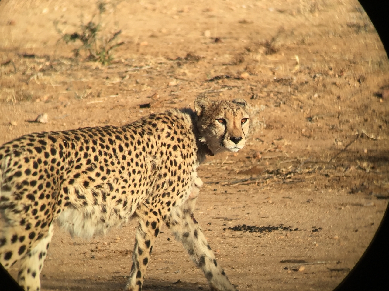 [2387] 2016_06_22_07_52_15_Africa_iPhone_6_IMG_7603_00200.jpg