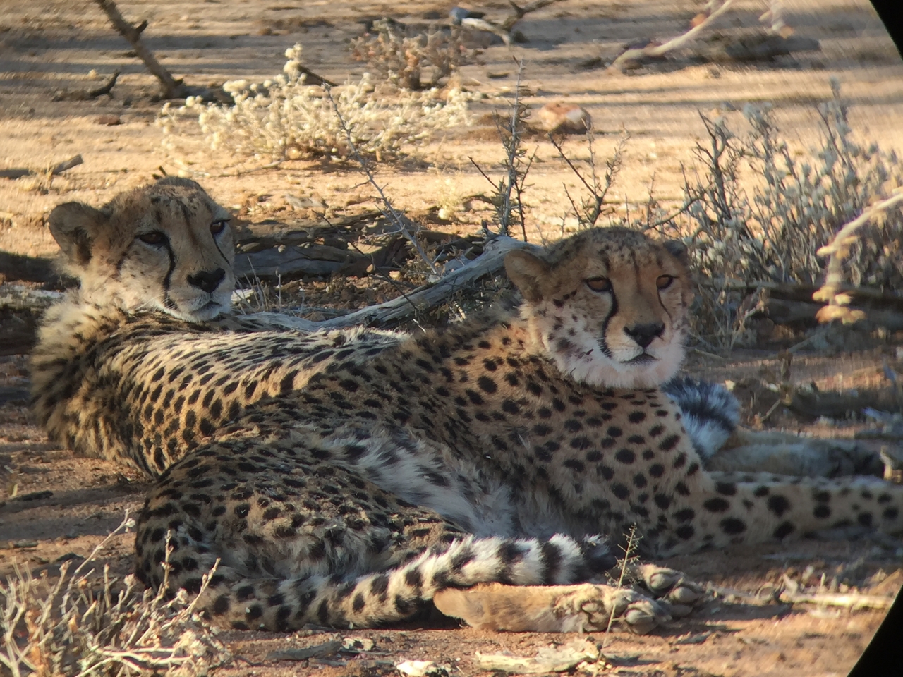 [2422] 2016_06_22_08_03_43_Africa_iPhone_6_IMG_7624_02558.jpg