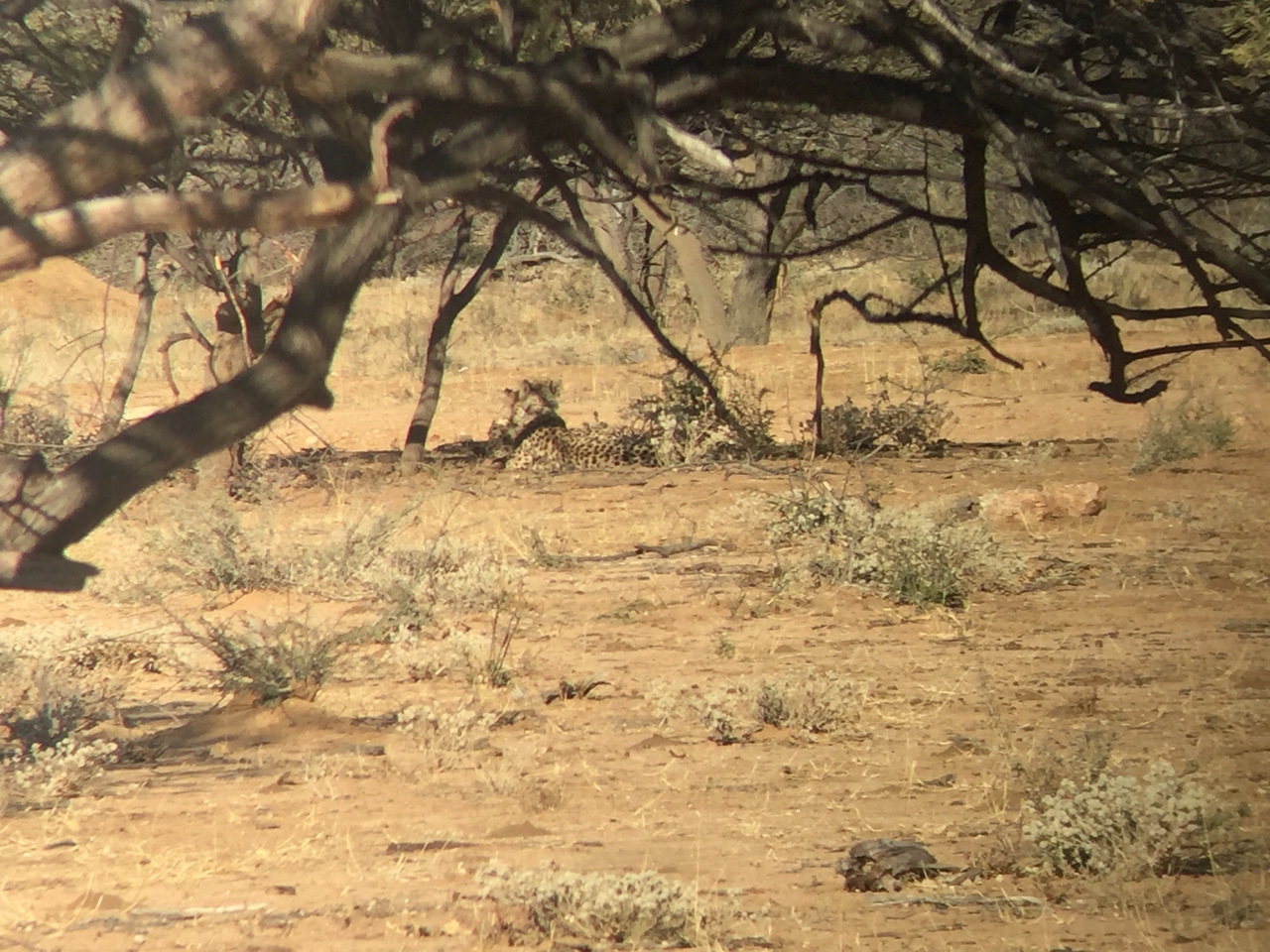 [2463] 2016_06_22_08_23_22_Africa_iPhone_6_IMG_7647_00238.jpg