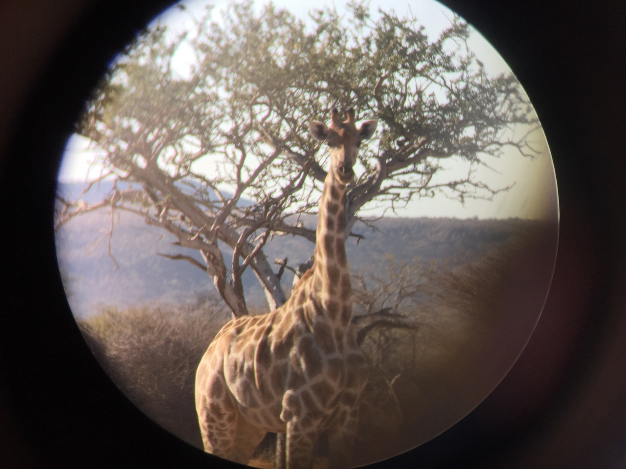 [2471] 2016_06_22_08_37_36_Africa_iPhone_6_IMG_7651_00242.jpg