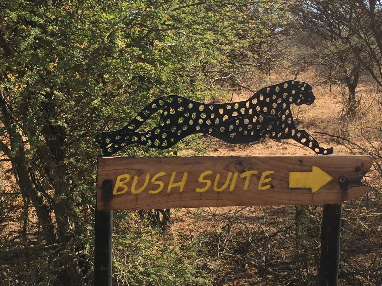 [2530] 2016_06_22_09_35_54_Africa_iPhone_6_IMG_7675_02607.jpg