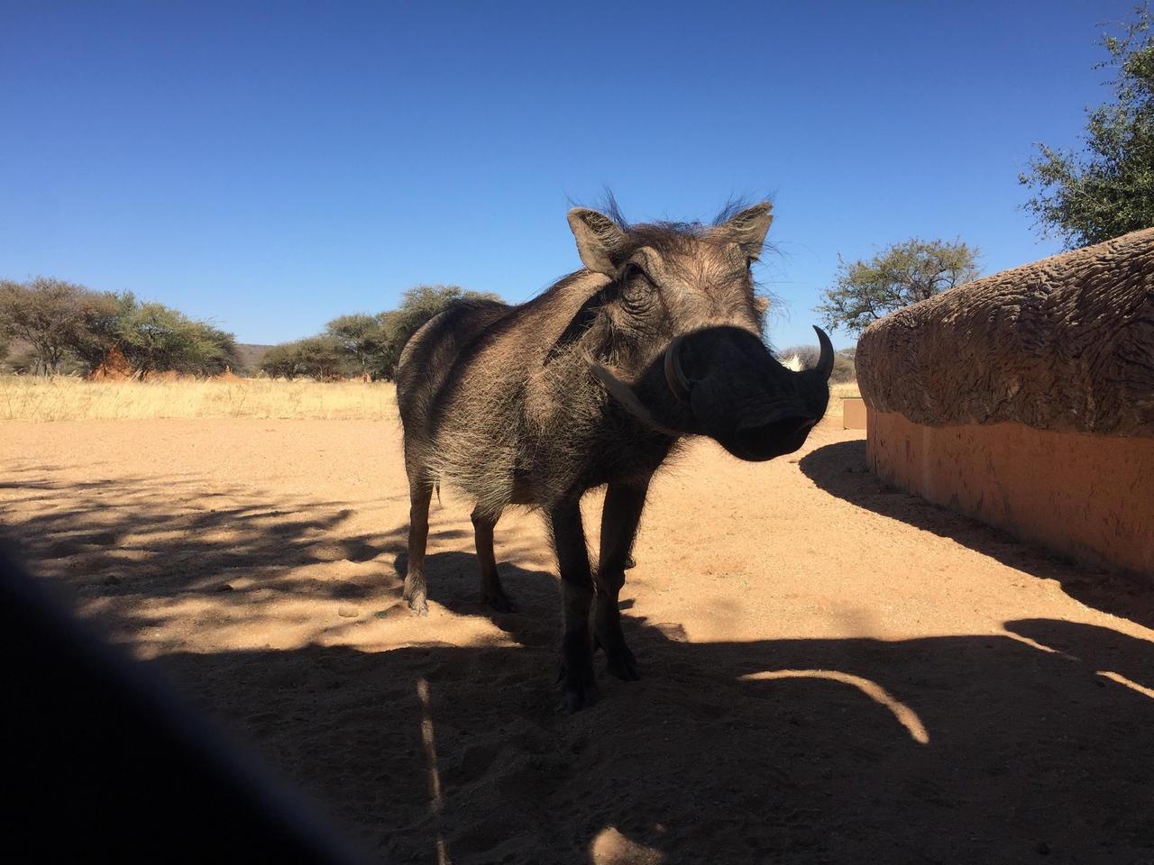 [2567] 2016_06_22_10_57_01_Africa_iPhone_6_IMG_7688_02620.jpg