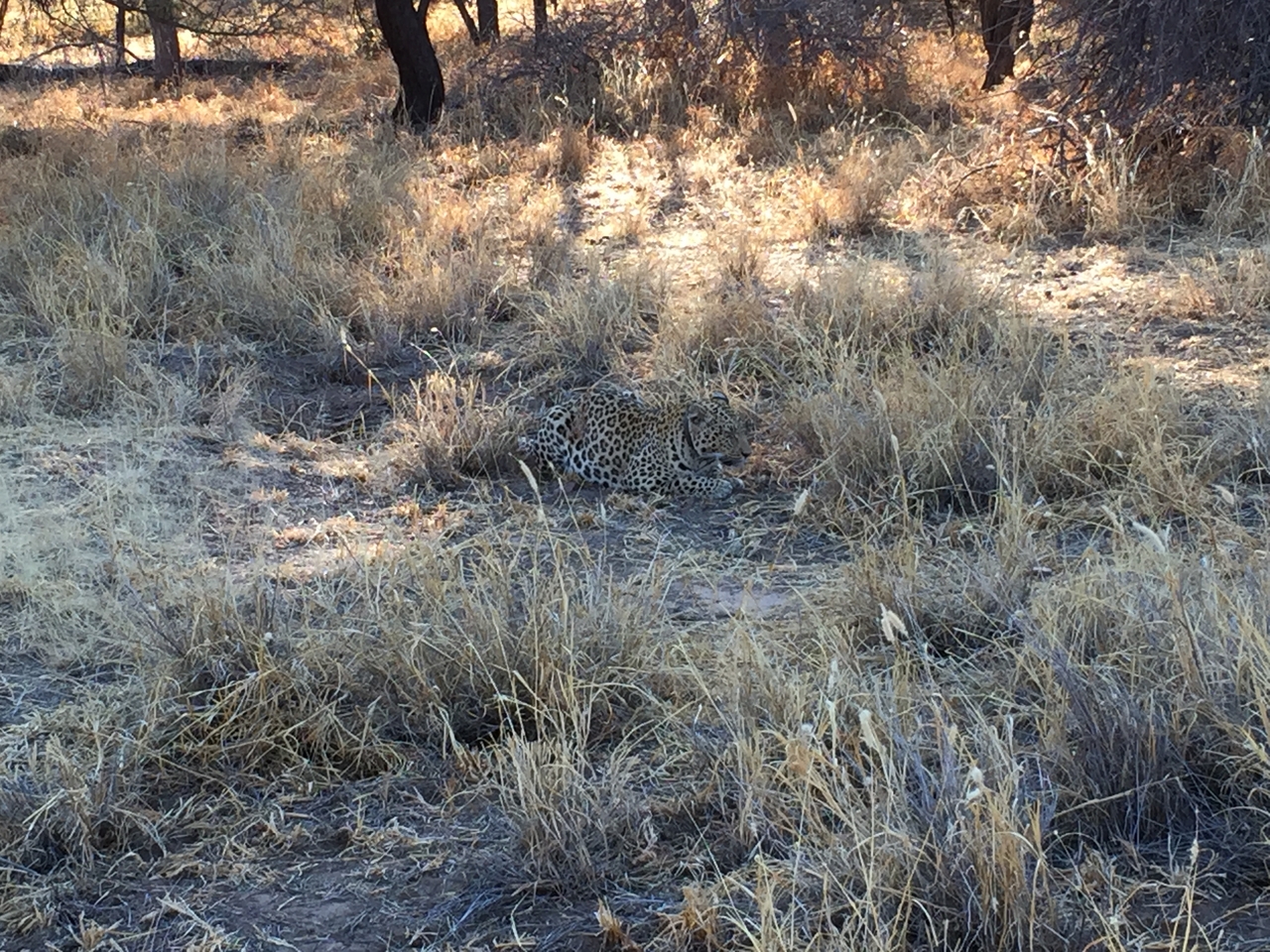 [3579] 2016_06_22_16_00_49_Africa_iPhone_6_IMG_7704_02635.jpg