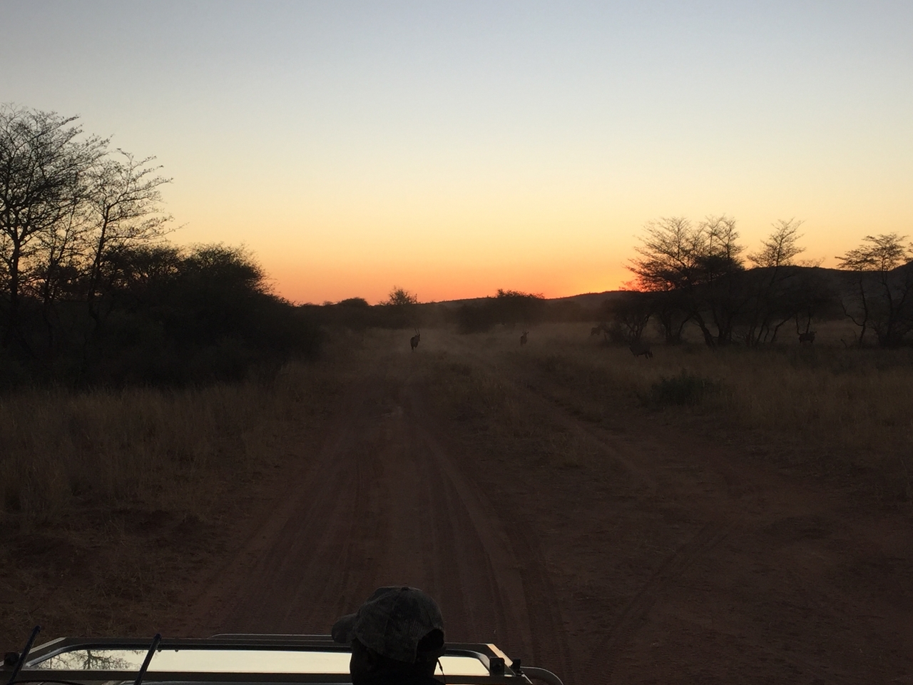 [3695] 2016_06_22_17_24_03_Africa_iPhone_6_IMG_7745_02676.jpg