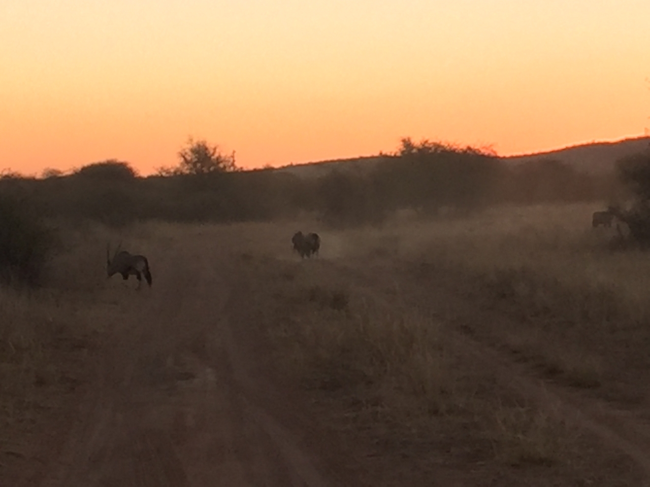 [3699] 2016_06_22_17_24_31_Africa_iPhone_6_IMG_7746_02677.jpg
