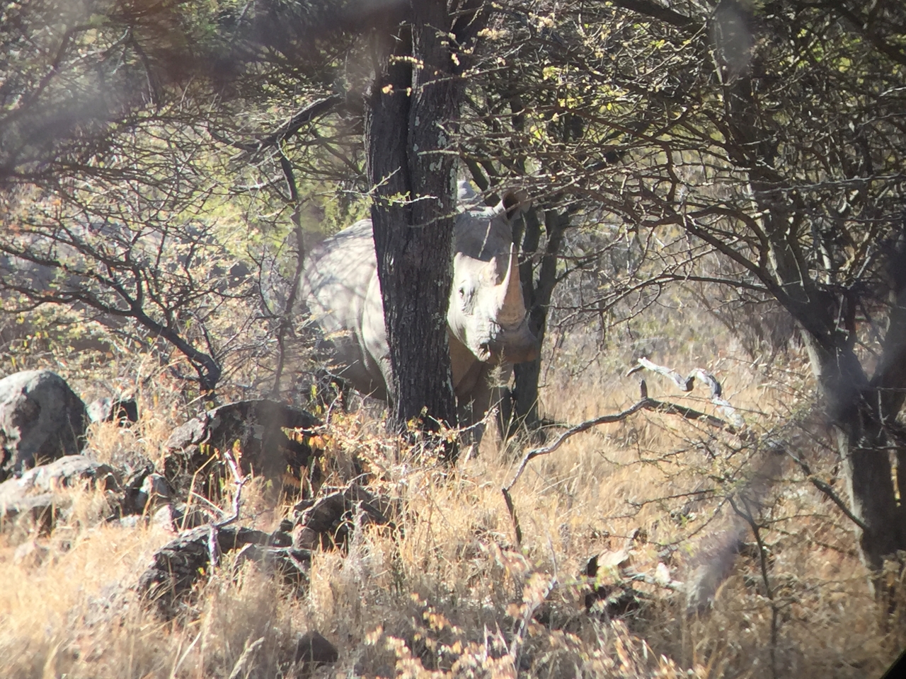 [5325] 2016_06_23_09_25_27_Africa_iPhone_6_IMG_7785_02713.jpg