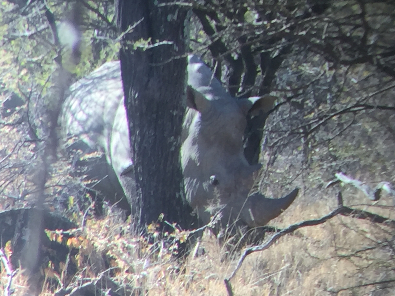 [5338] 2016_06_23_09_26_06_Africa_iPhone_6_IMG_7792_00379.jpg