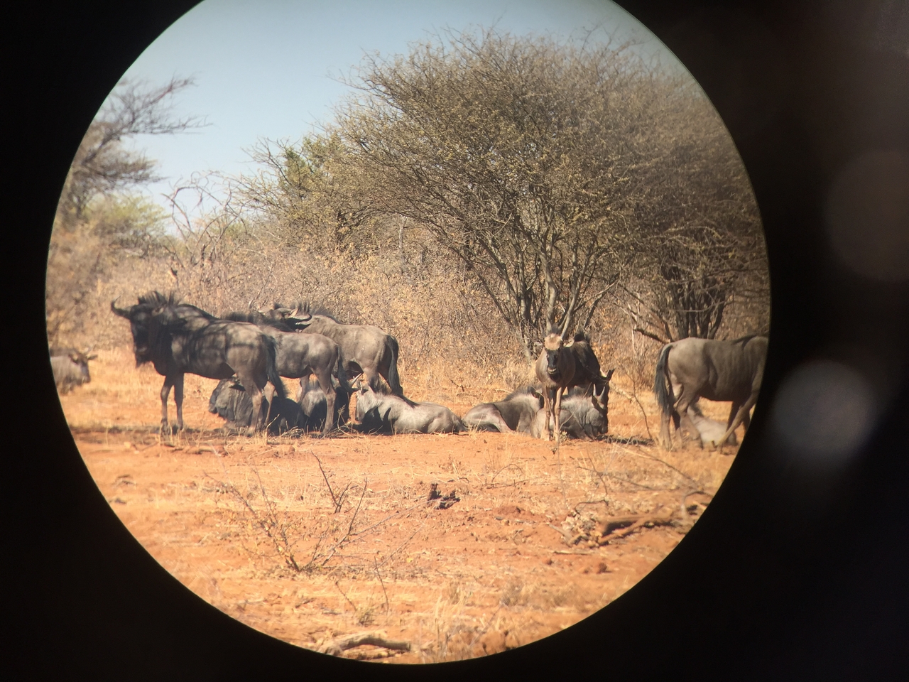 [5363] 2016_06_23_09_52_17_Africa_iPhone_6_IMG_7800_02728.jpg
