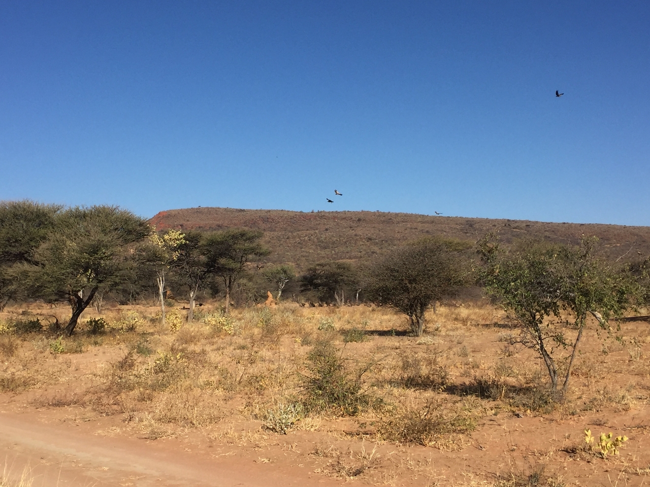 [9032] 2016_06_23_14_57_52_Africa_iPhone_6_IMG_7807_00393.jpg