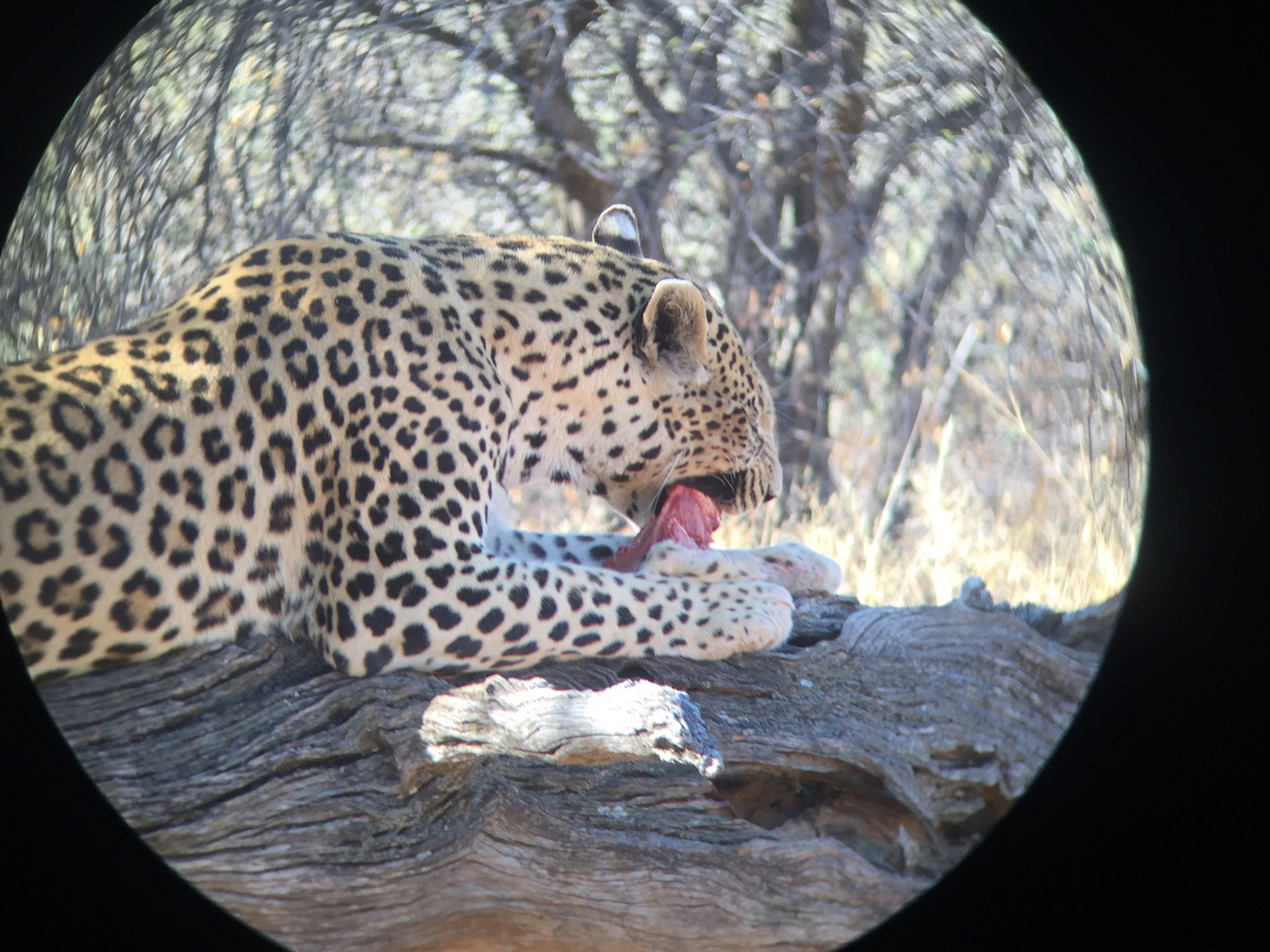 [9083] 2016_06_23_15_16_57_Africa_iPhone_6_IMG_7830_02757.jpg