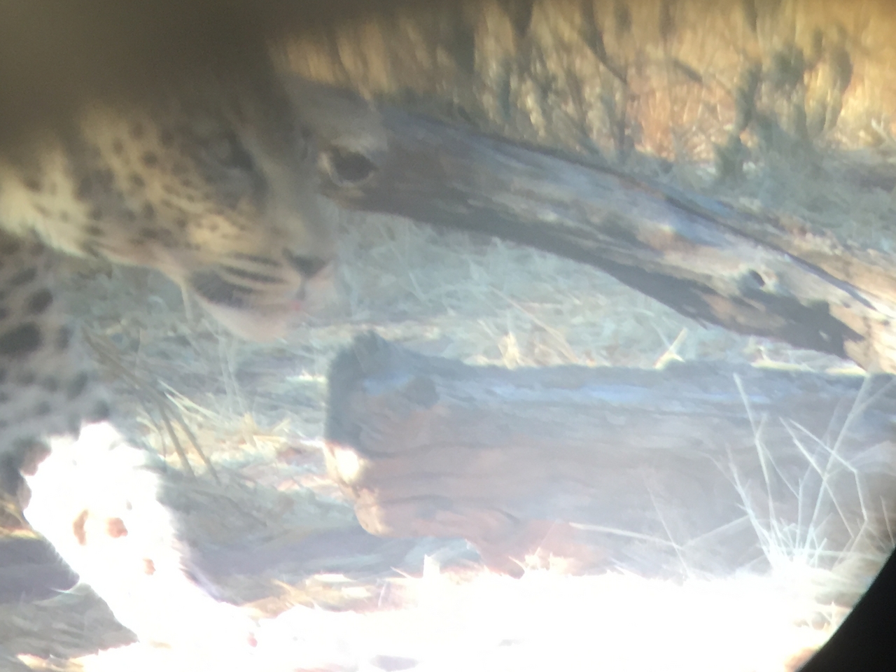 [9108] 2016_06_23_15_25_16_Africa_iPhone_6_IMG_7843_00429.jpg
