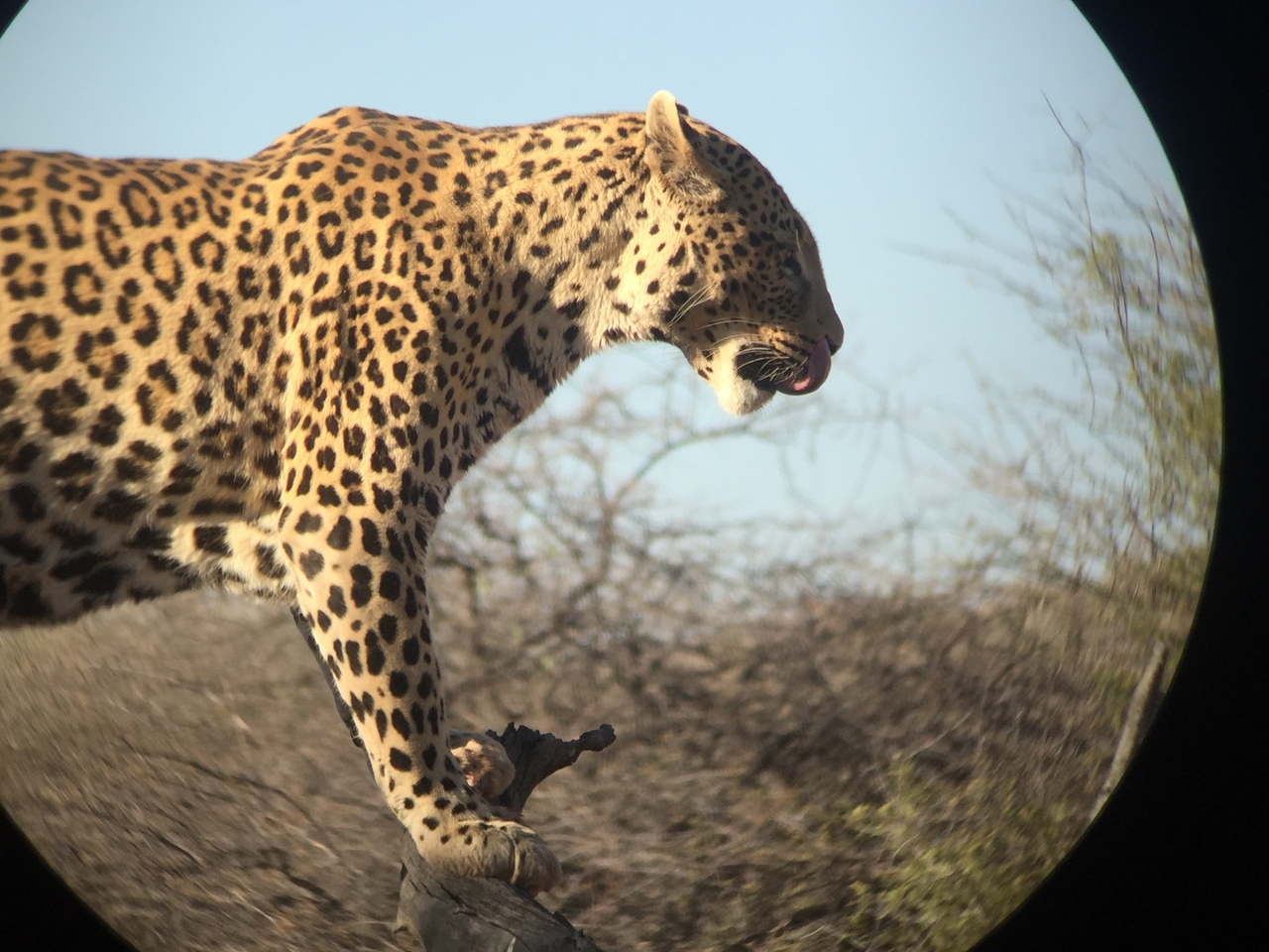 [9126] 2016_06_23_15_26_01_Africa_iPhone_6_IMG_7853_00438.jpg