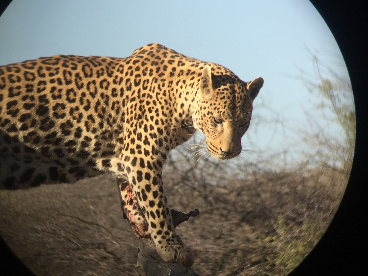 [9131] 2016_06_23_15_26_03_Africa_iPhone_6_IMG_7855_02781.jpg