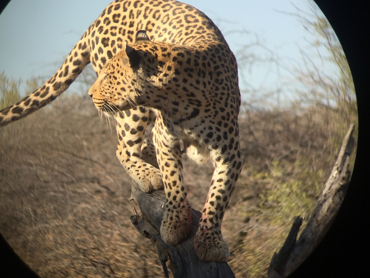 [9135] 2016_06_23_15_26_05_Africa_iPhone_6_IMG_7857_02783.jpg
