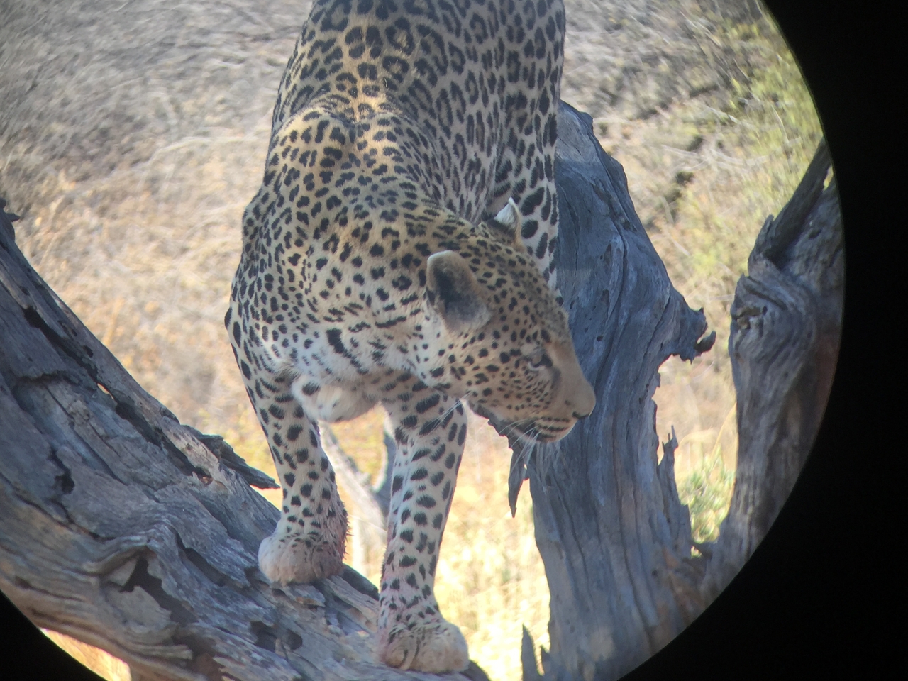 [9140] 2016_06_23_15_26_11_Africa_iPhone_6_IMG_7860_00445.jpg