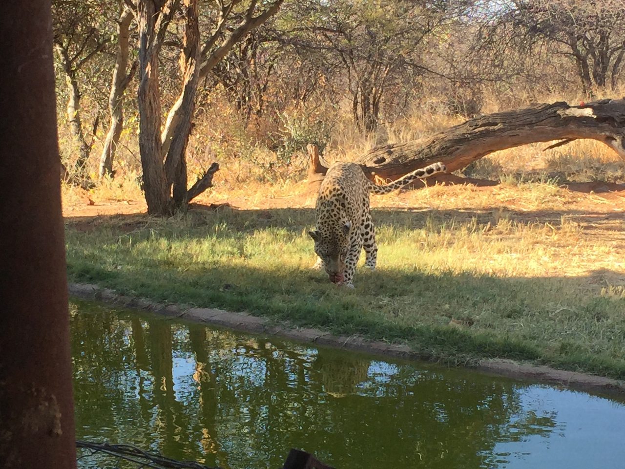 [9170] 2016_06_23_15_27_36_Africa_iPhone_6_IMG_7875_00460.jpg