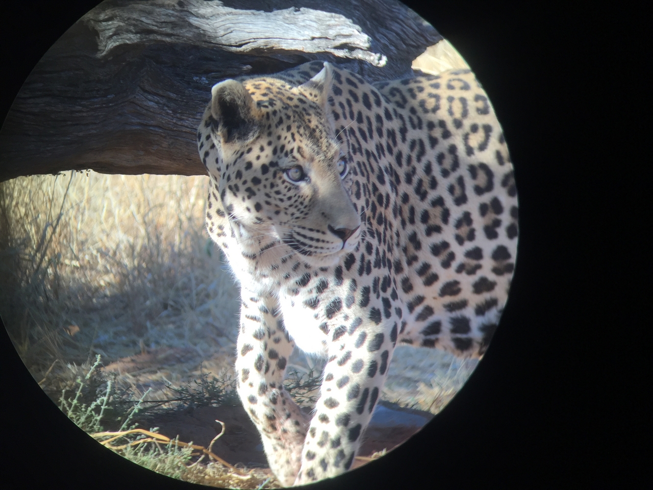 [9188] 2016_06_23_15_29_51_Africa_iPhone_6_IMG_7884_00469.jpg