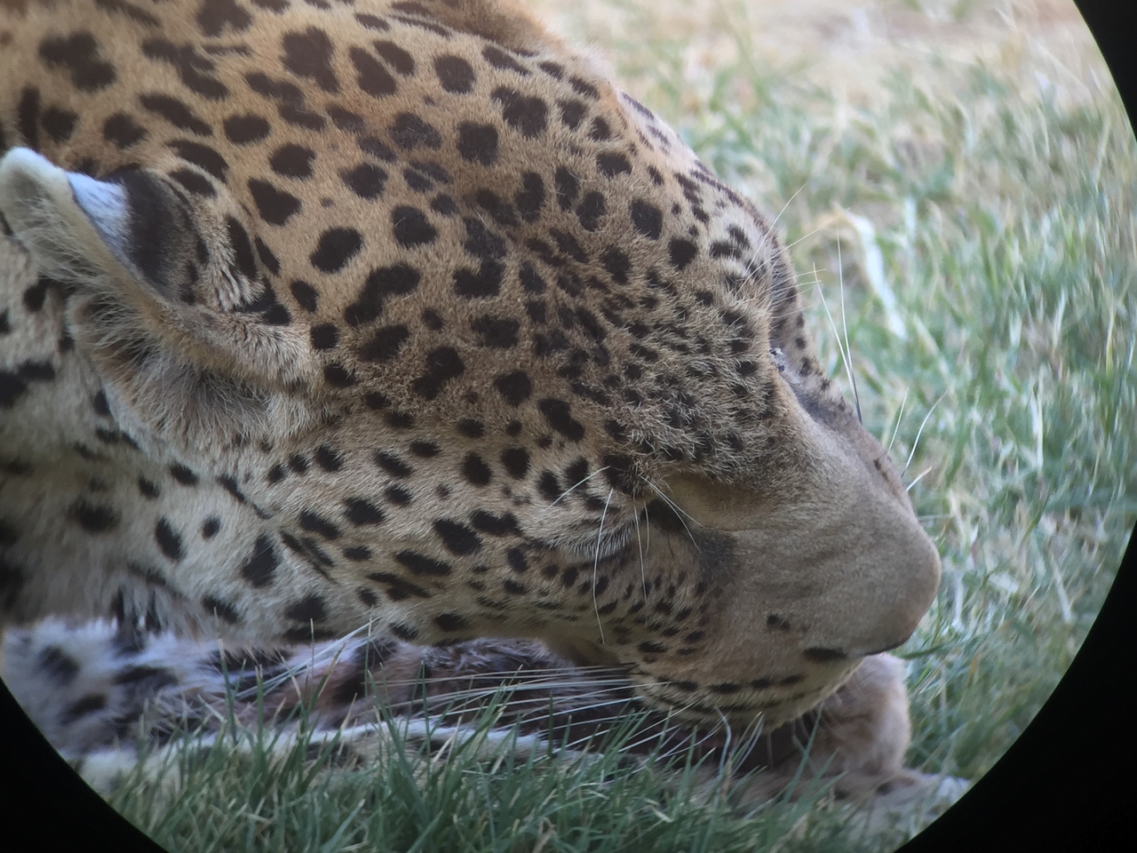 [9222] 2016_06_23_15_31_21_Africa_iPhone_6_IMG_7901_00486.jpg