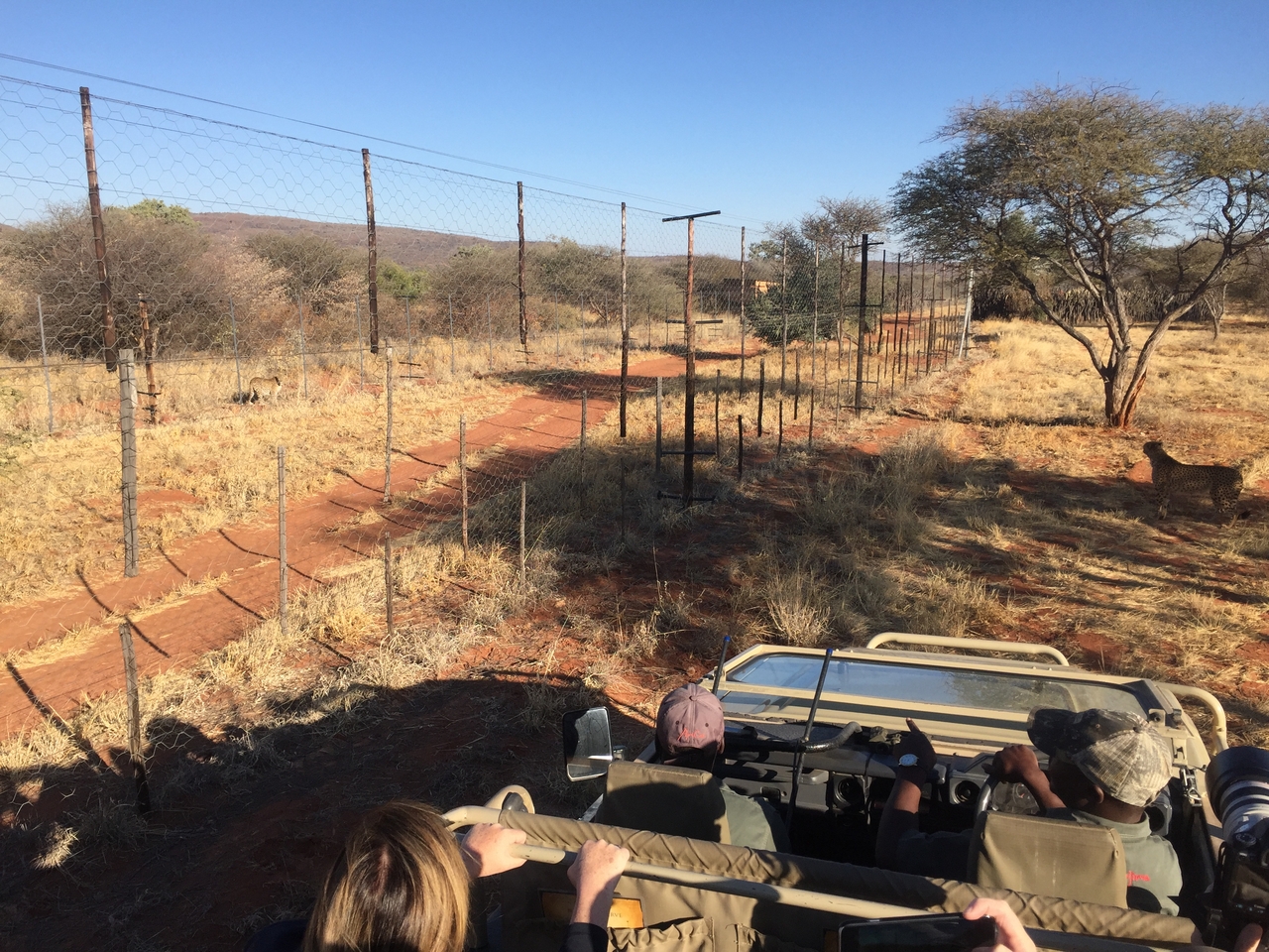 [9225] 2016_06_23_15_43_44_Africa_iPhone_6_IMG_7903_02828.jpg