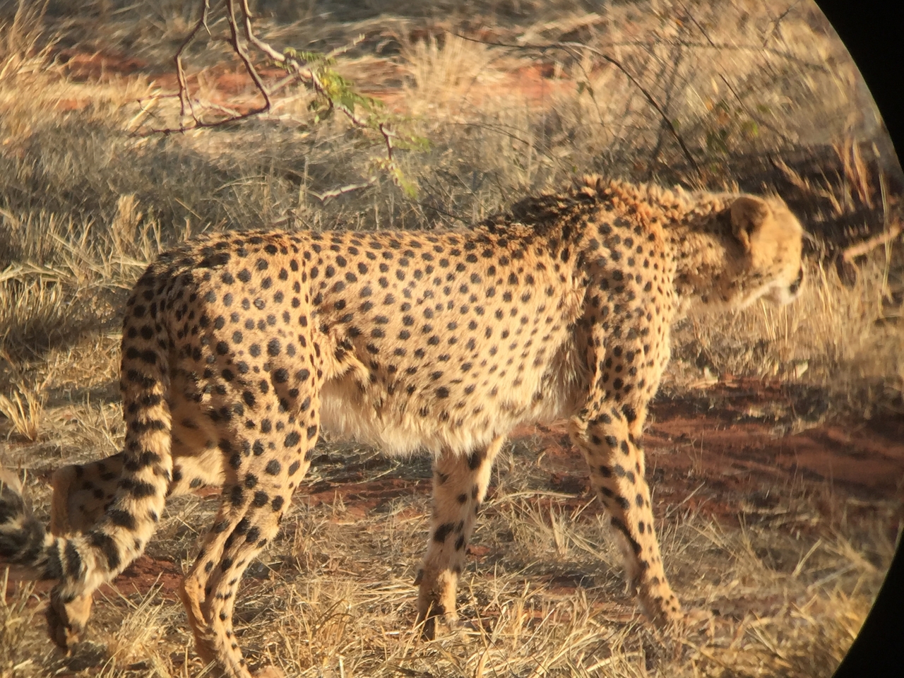 [9236] 2016_06_23_15_48_22_Africa_iPhone_6_IMG_7909_00493.jpg