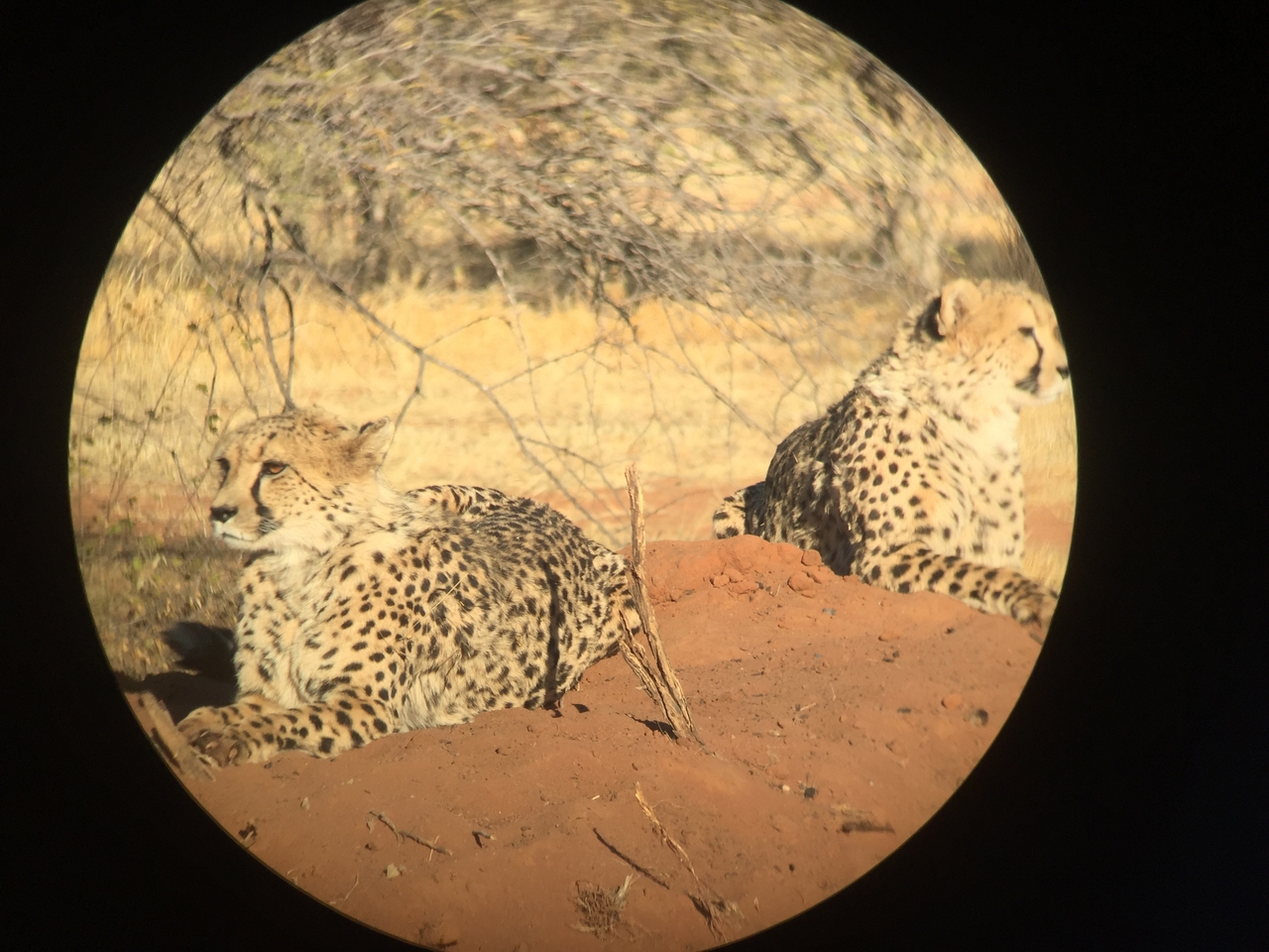 [9253] 2016_06_23_15_53_02_Africa_iPhone_6_IMG_7918_02842.jpg